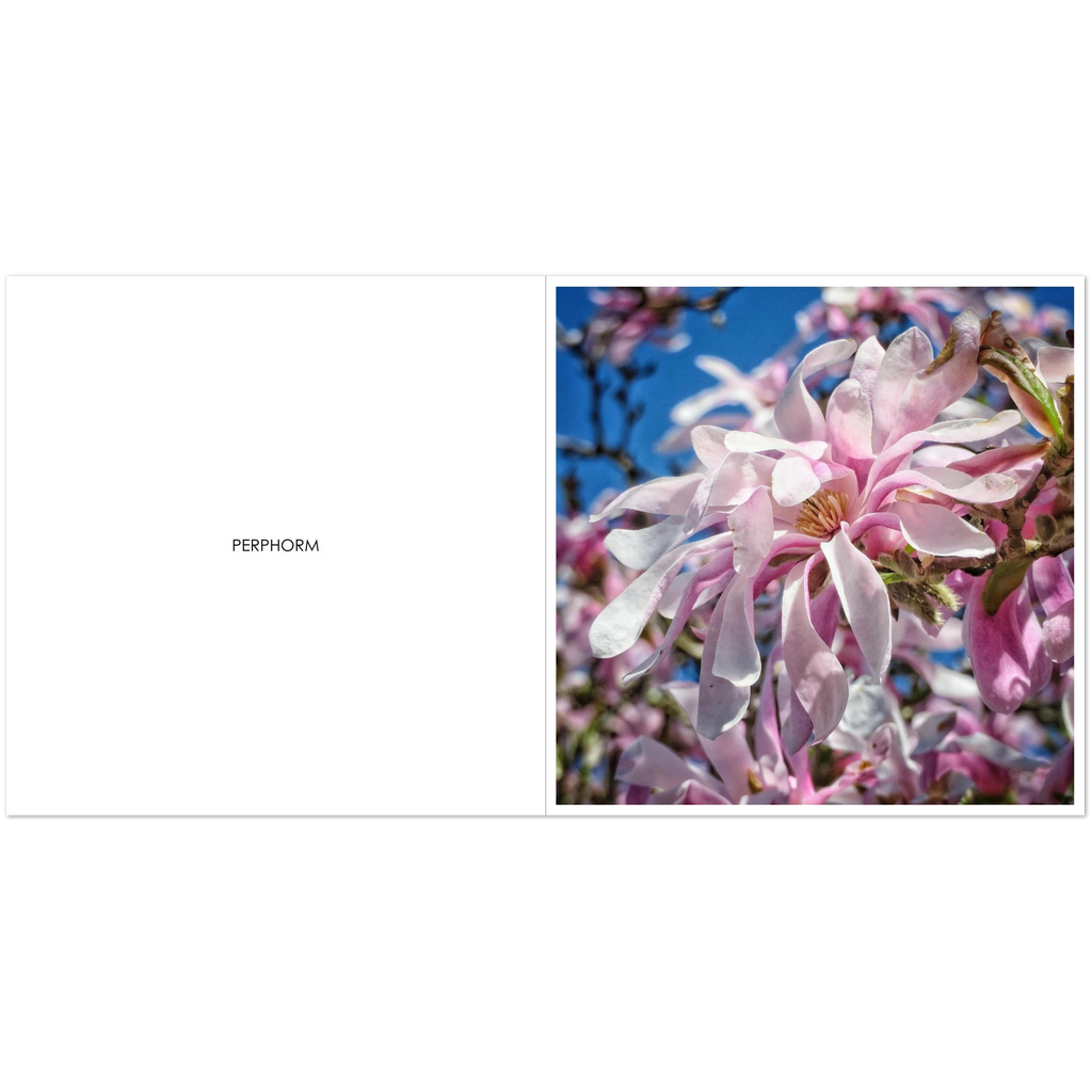 06a4b1f4-f0a7-4045-9a07-3a8b2f5070ce