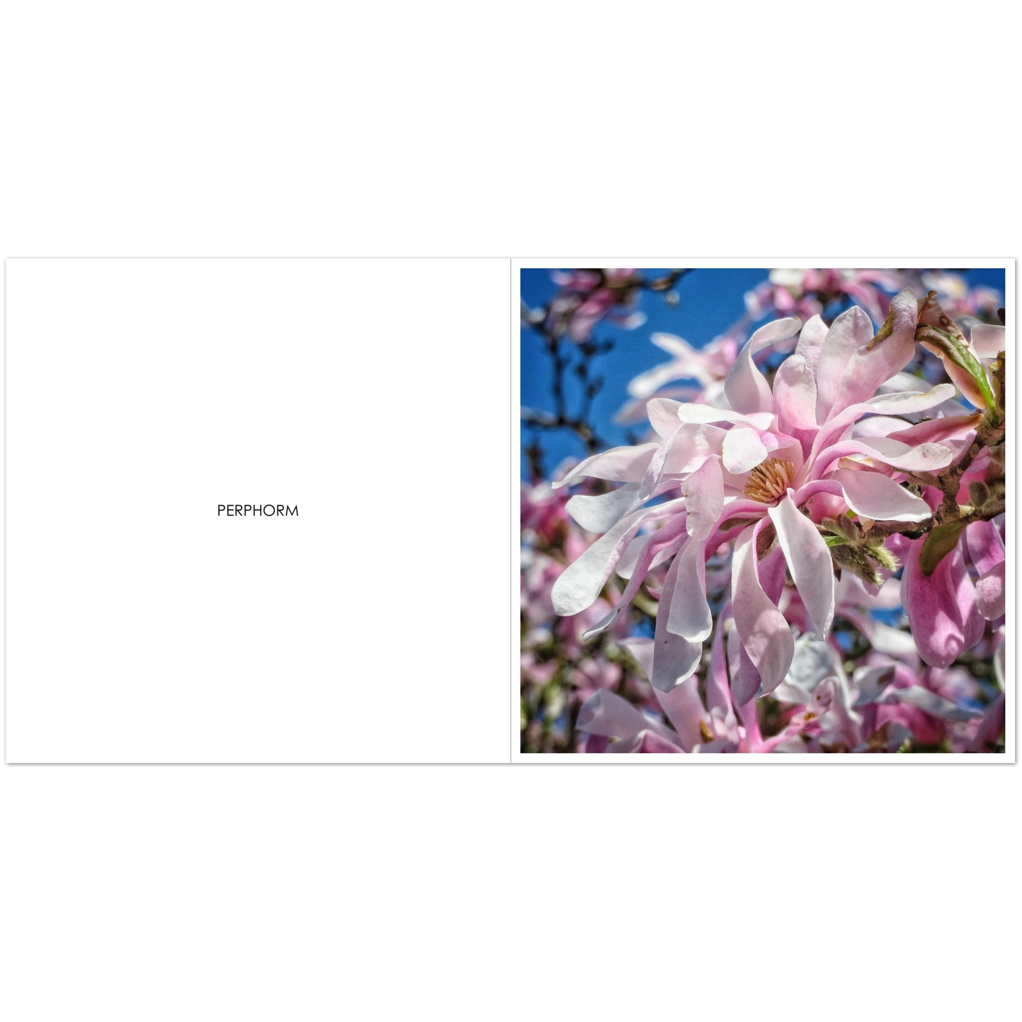 06a4b1f4-f0a7-4045-9a07-3a8b2f5070ce