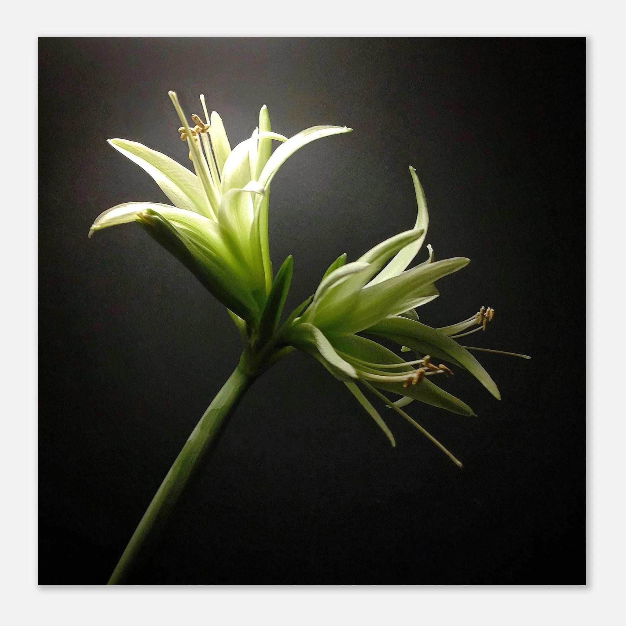 0785ac53-4ad4-4063-a112-e8de13756b1b