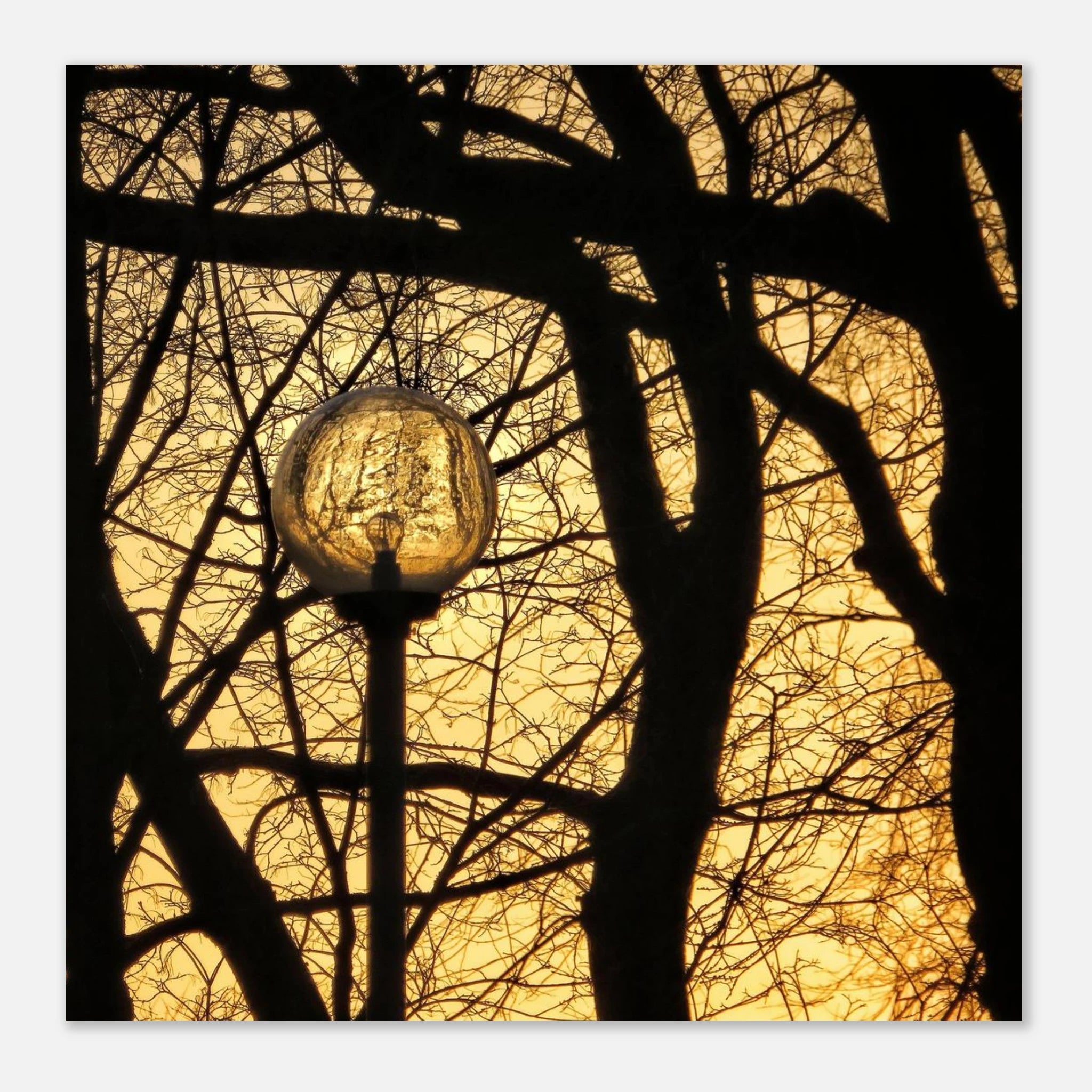 08b2efde-a9b4-486e-ae13-6d88703f429f