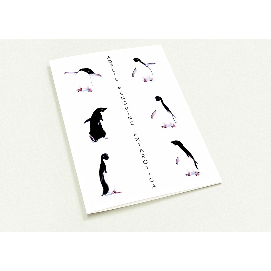 0b77ffdc-e6f4-4e8f-9b1c-134bb6aba644