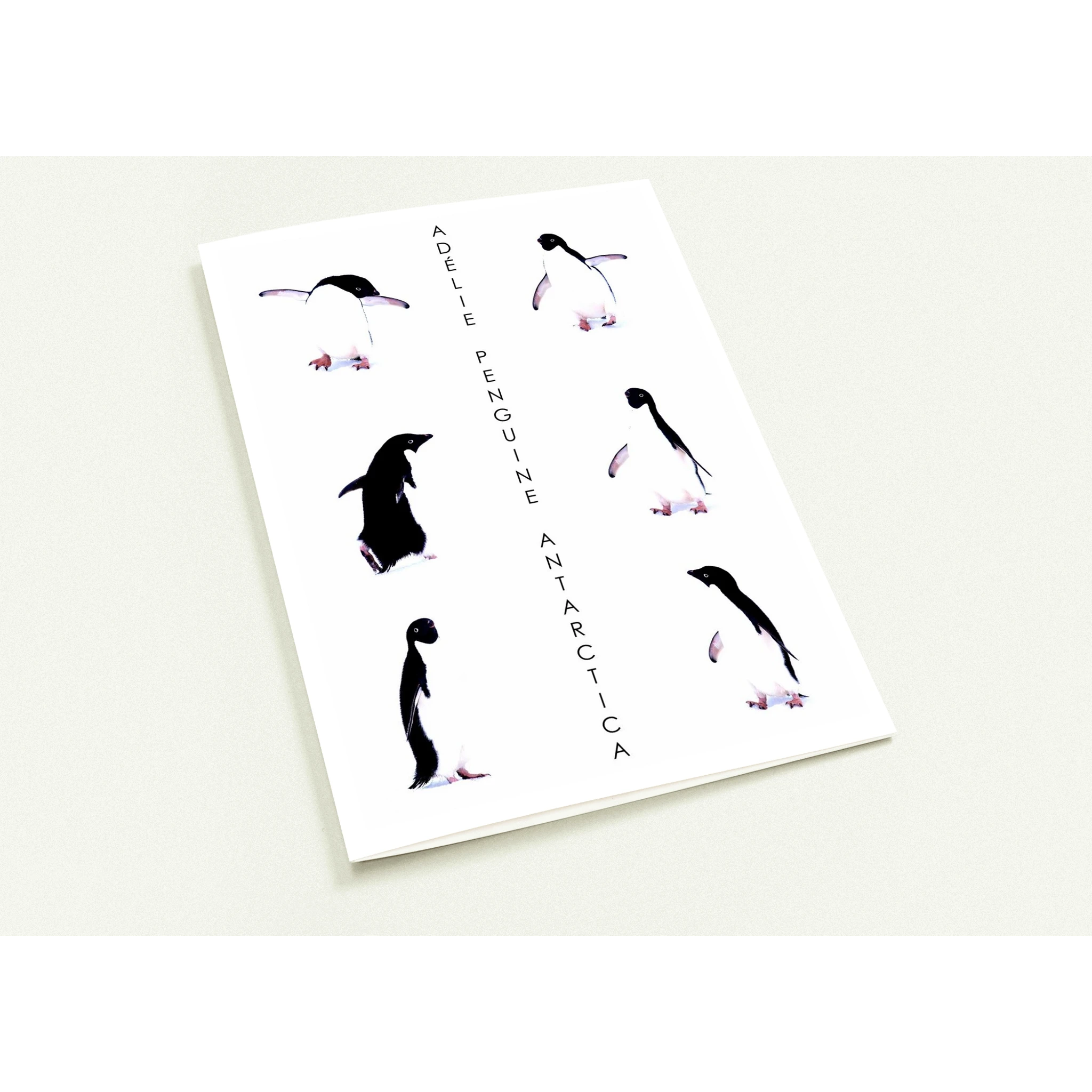 0b77ffdc-e6f4-4e8f-9b1c-134bb6aba644