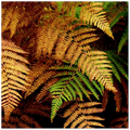 0f7968a8-de36-4b6a-99d0-2402754a4c08