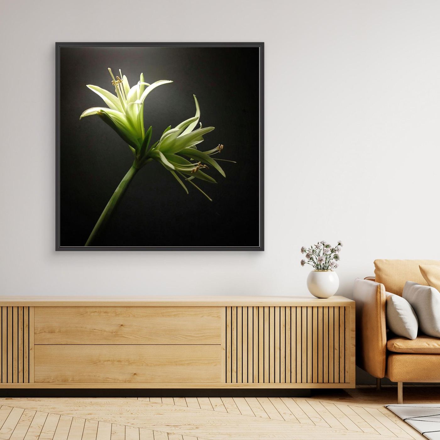 Amaryllis Evergreen