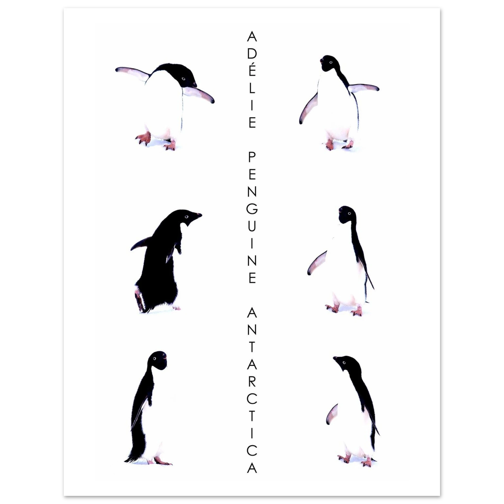 1f2dba22-be6d-4a46-b833-b02576497414