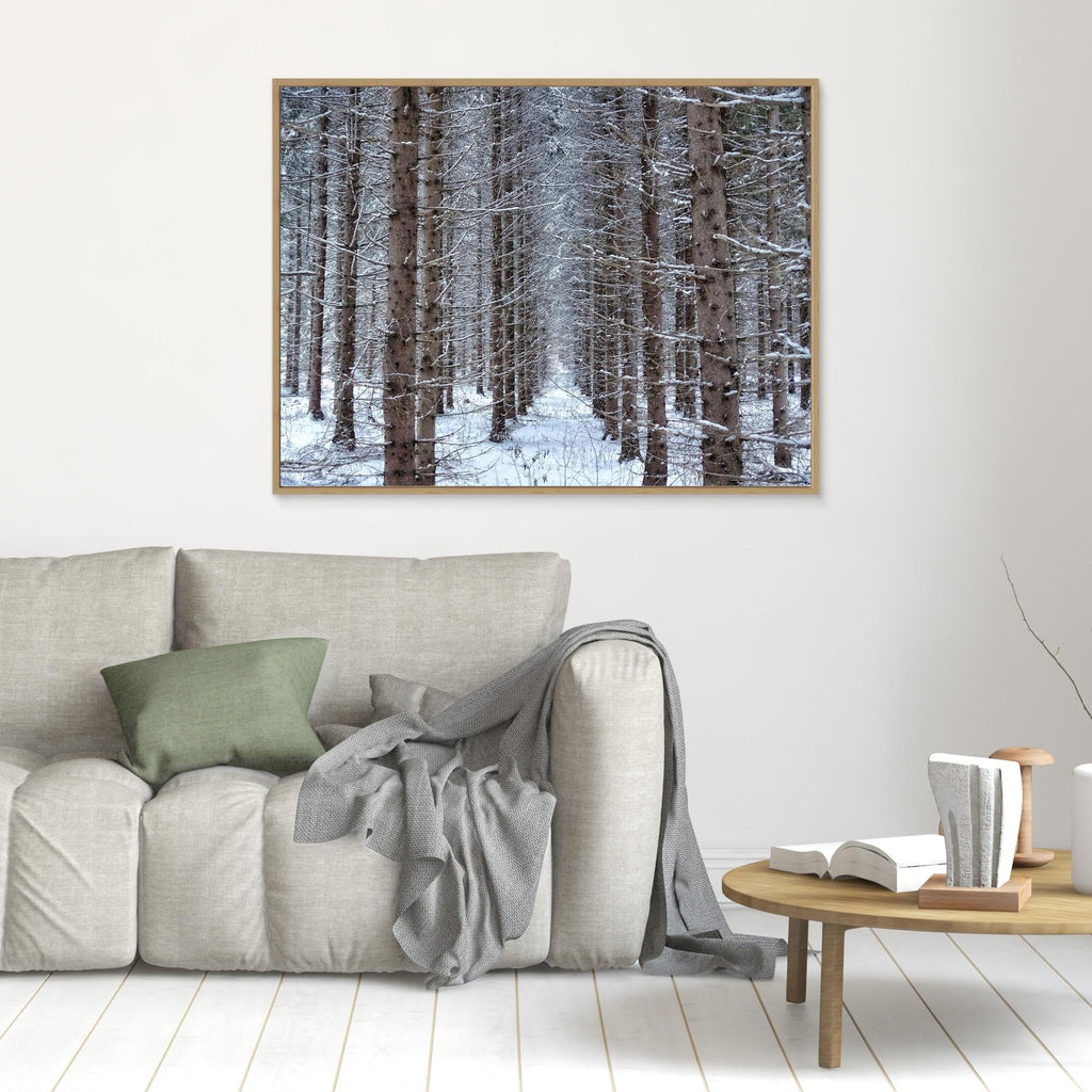 Skogsåker Vinter Forest field