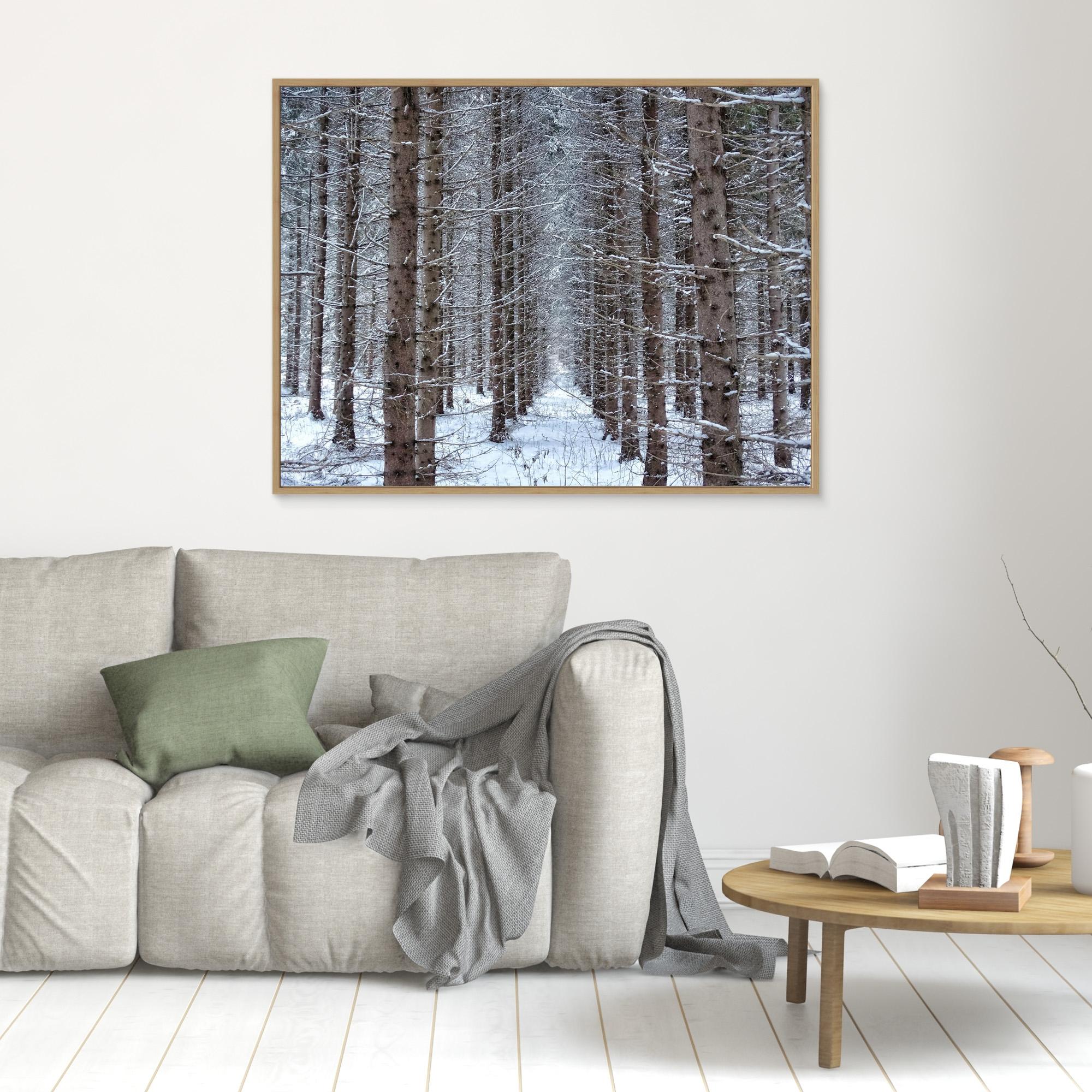 Skogsåker Vinter Forest field