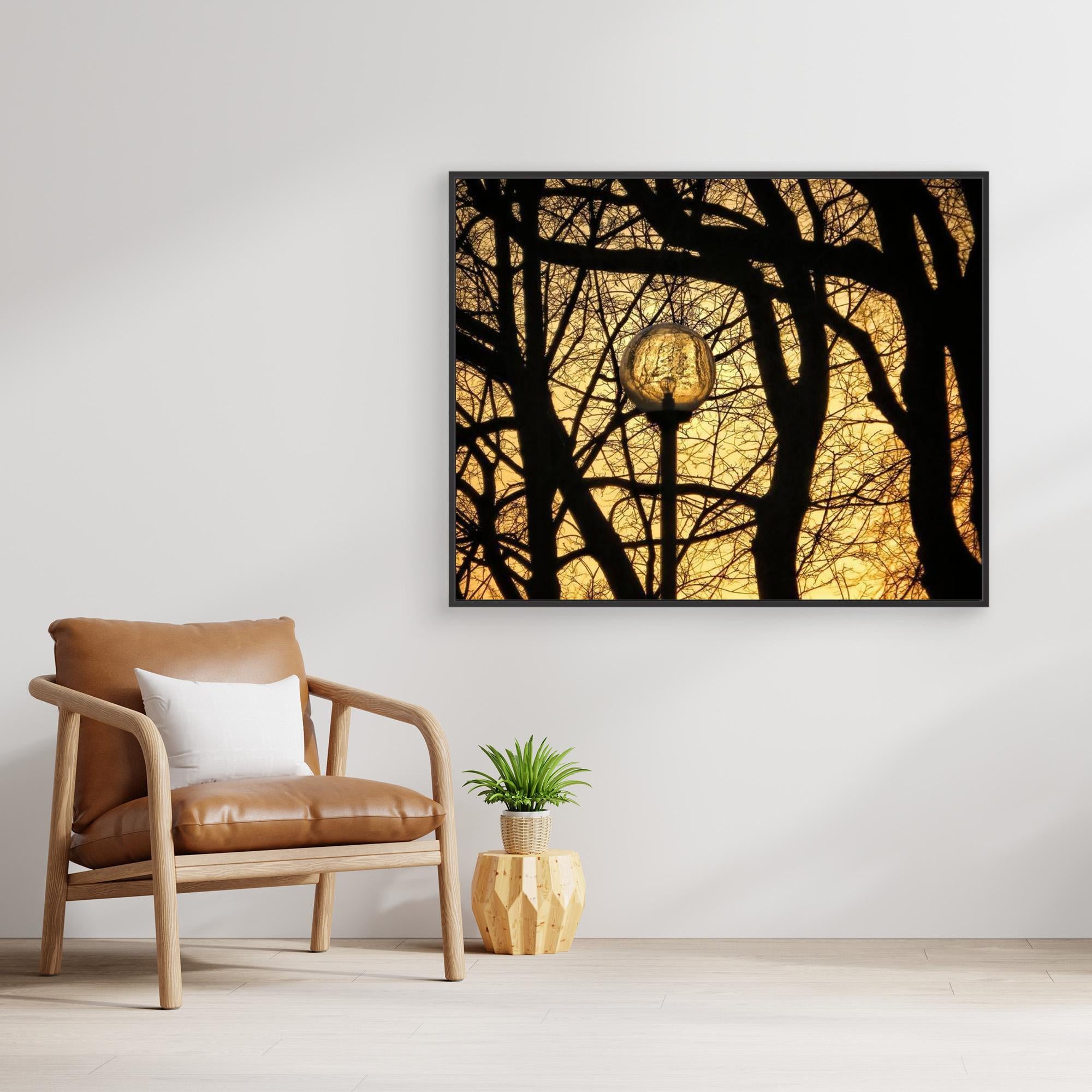 Lyktan / The Lantern