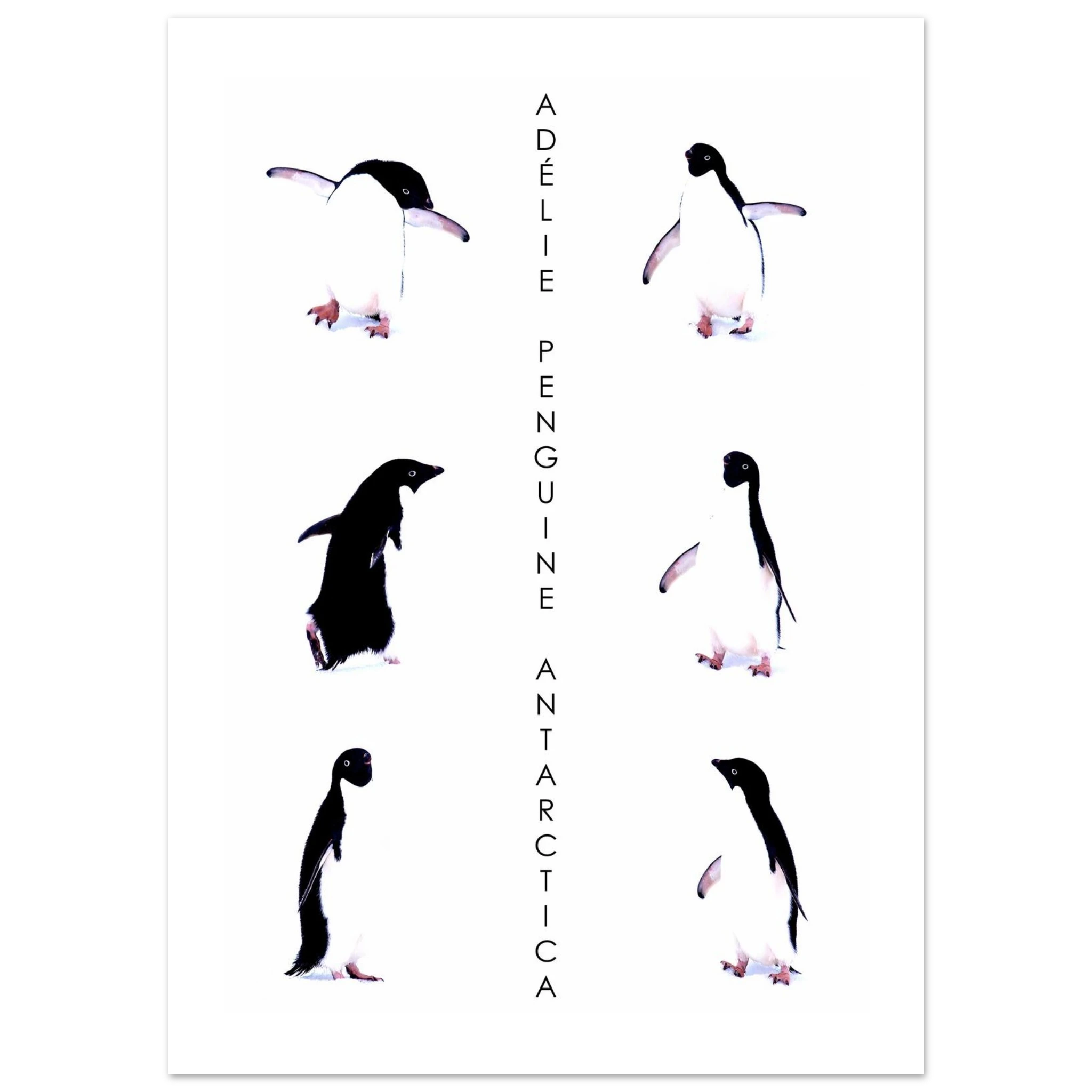 214adb19-72bb-48fb-8695-42daea329ca5