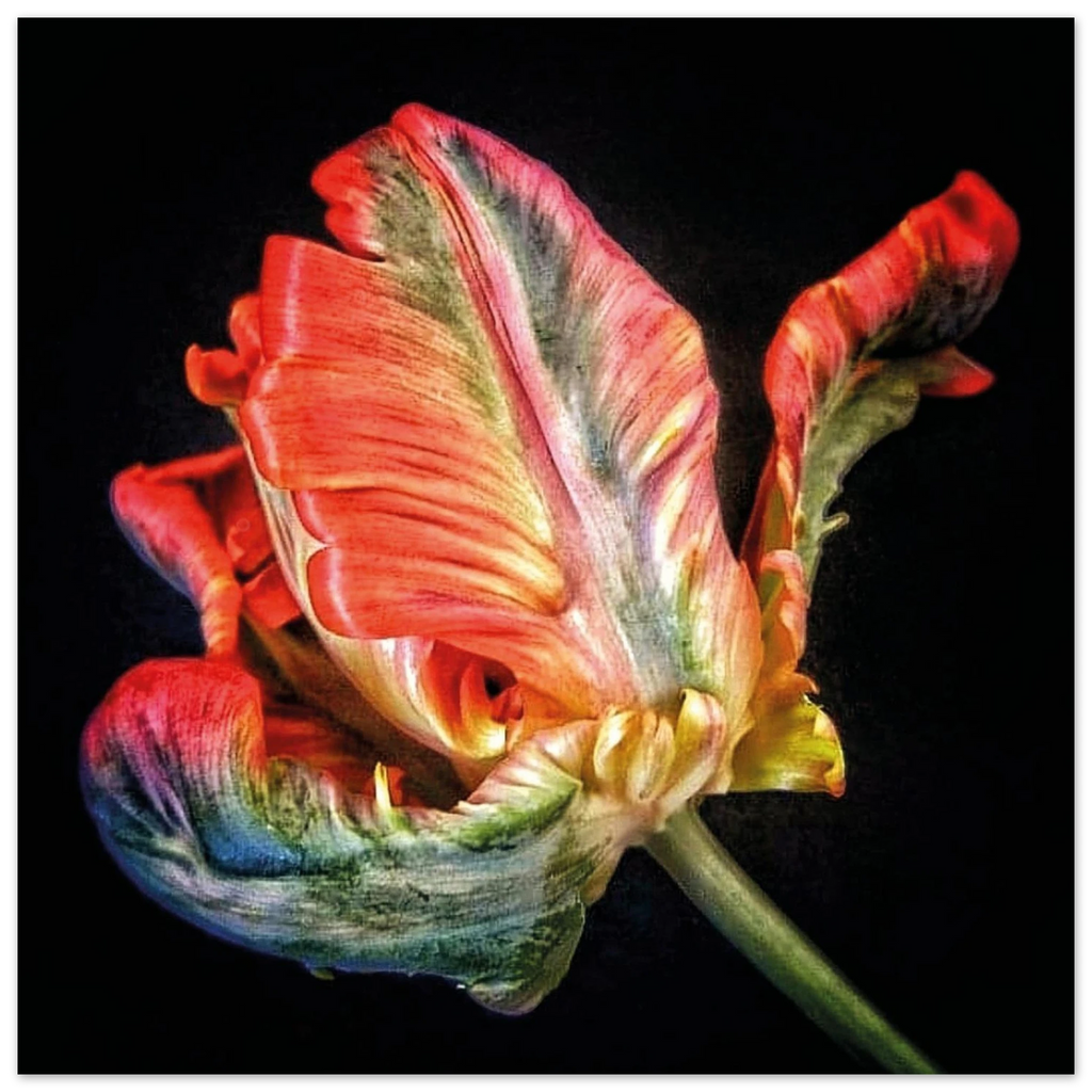 21bd019f-f0c3-4c93-b603-53fe6dd21e06