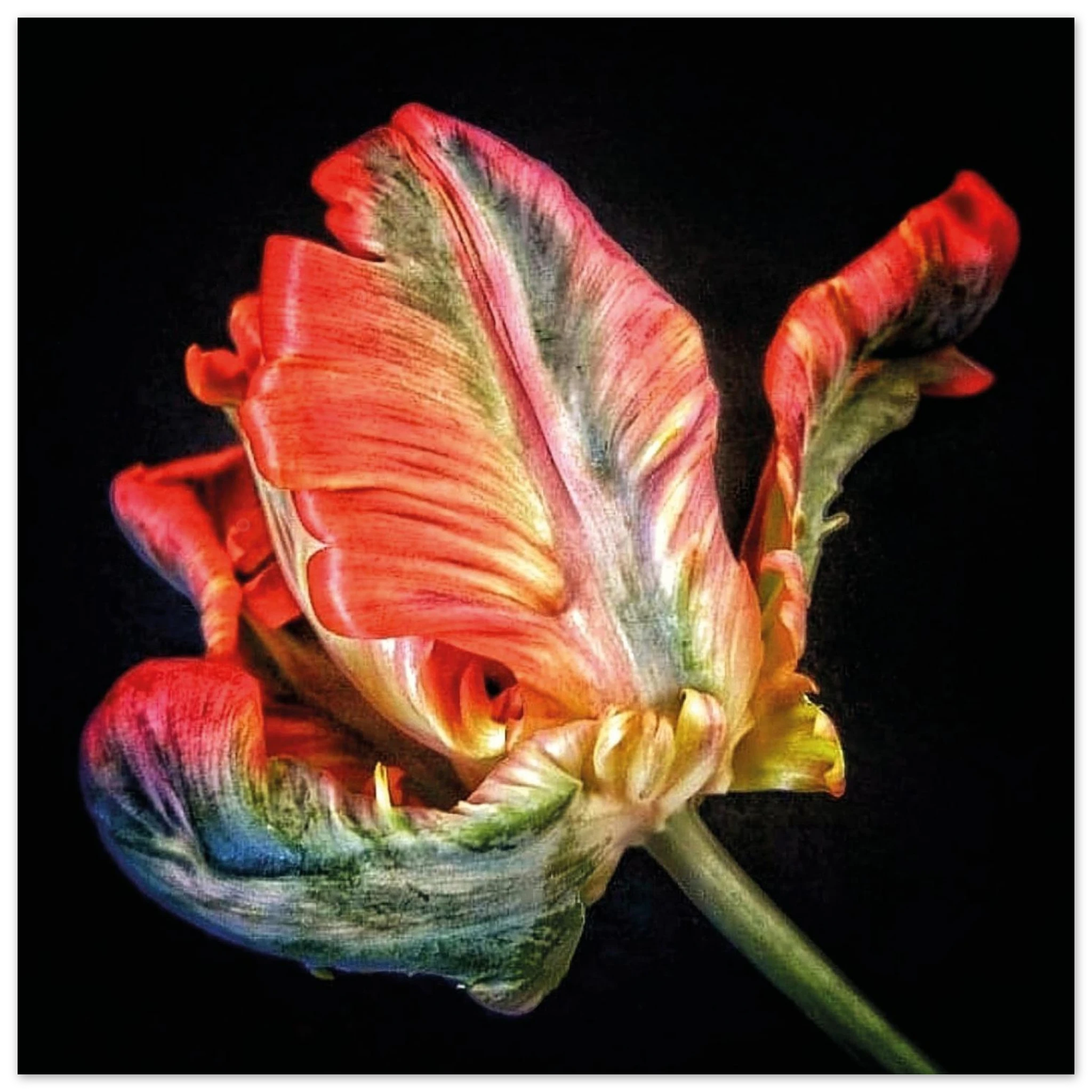 21bd019f-f0c3-4c93-b603-53fe6dd21e06