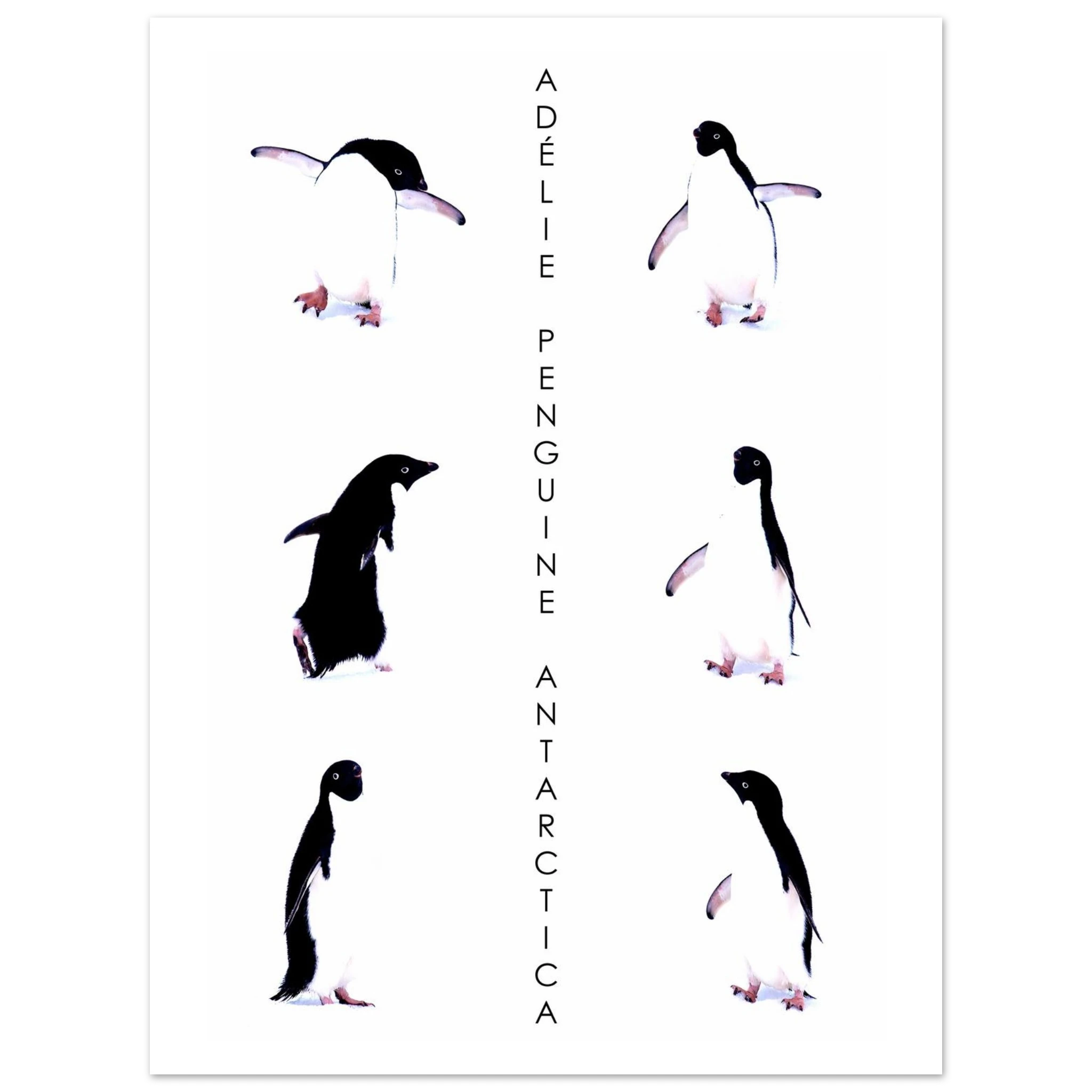 22c1fa15-bd88-4d3e-91d5-d5f263d7bbbd