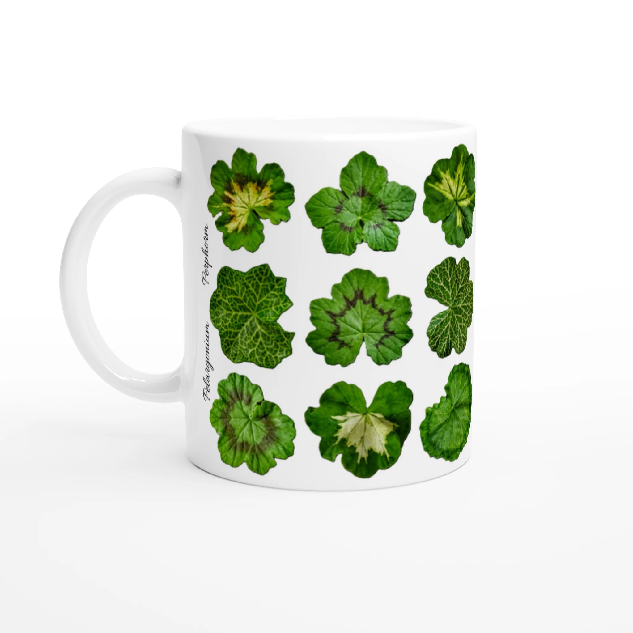 2436fbb0-eeae-48c7-a48b-1a4644a725d2