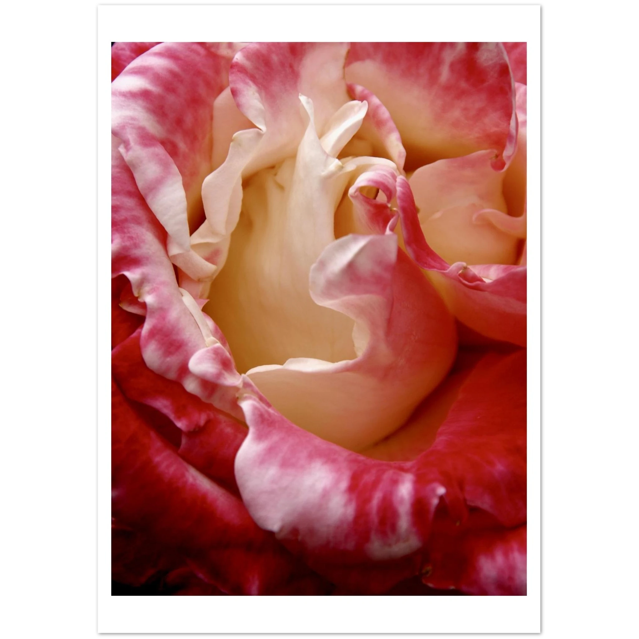 26eff21a-0fbc-46b7-8166-e8d84567c885