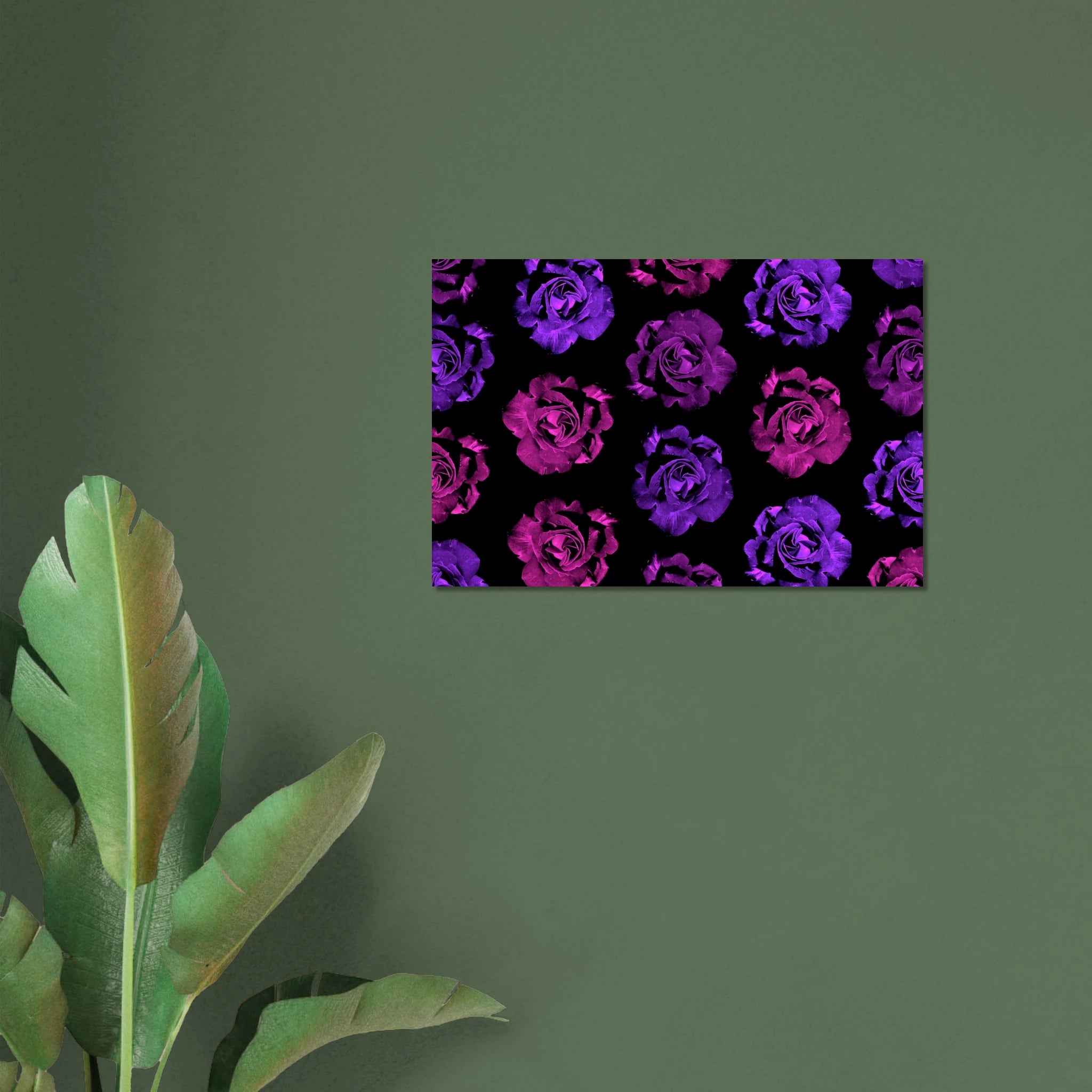 2855dd9c-4000-419b-ba49-e1089af60493