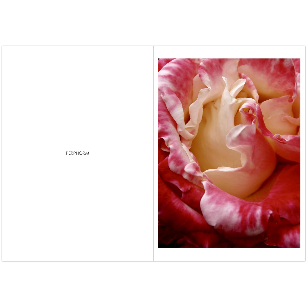 2a9438de-1983-4b70-b2a3-7d936df88531