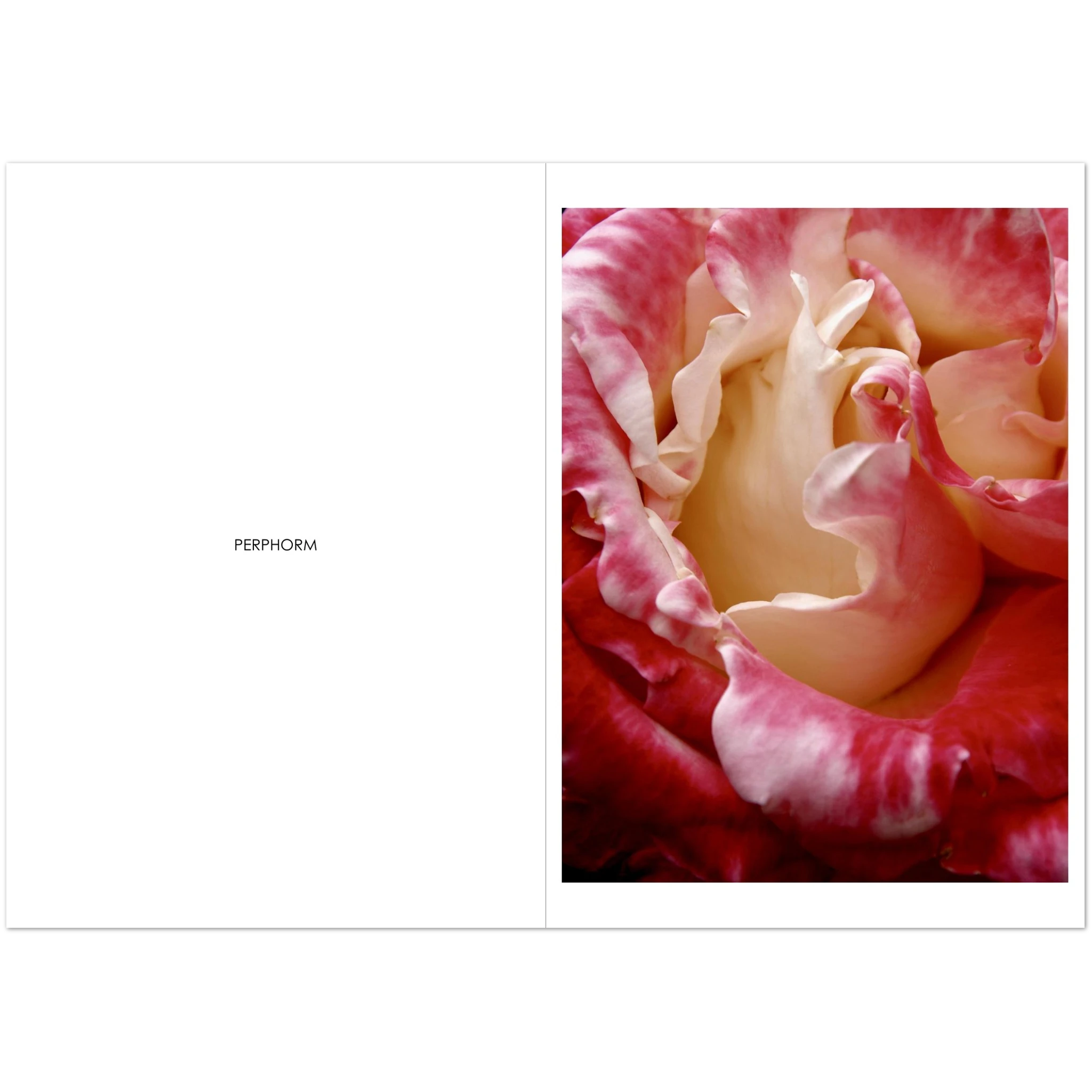 2a9438de-1983-4b70-b2a3-7d936df88531