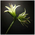 2b750408-8f18-42a4-8ca7-fd7648ea5cd5