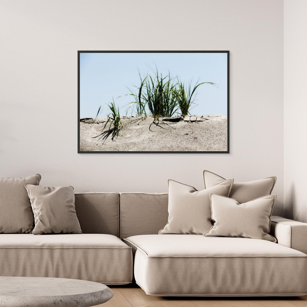 Jersey Shores USA 02