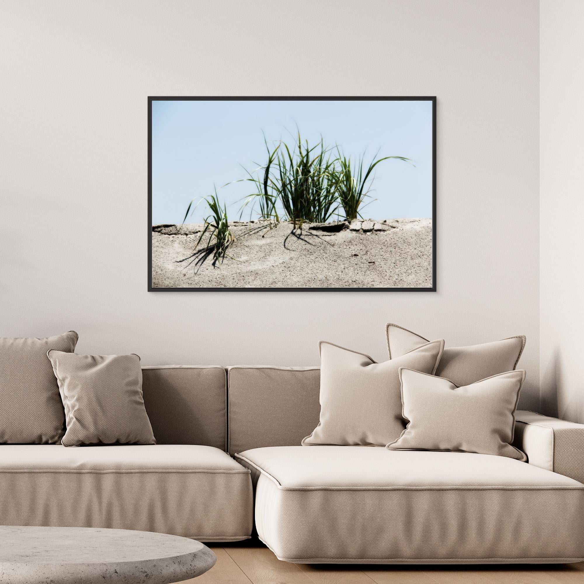 Jersey Shores USA 02