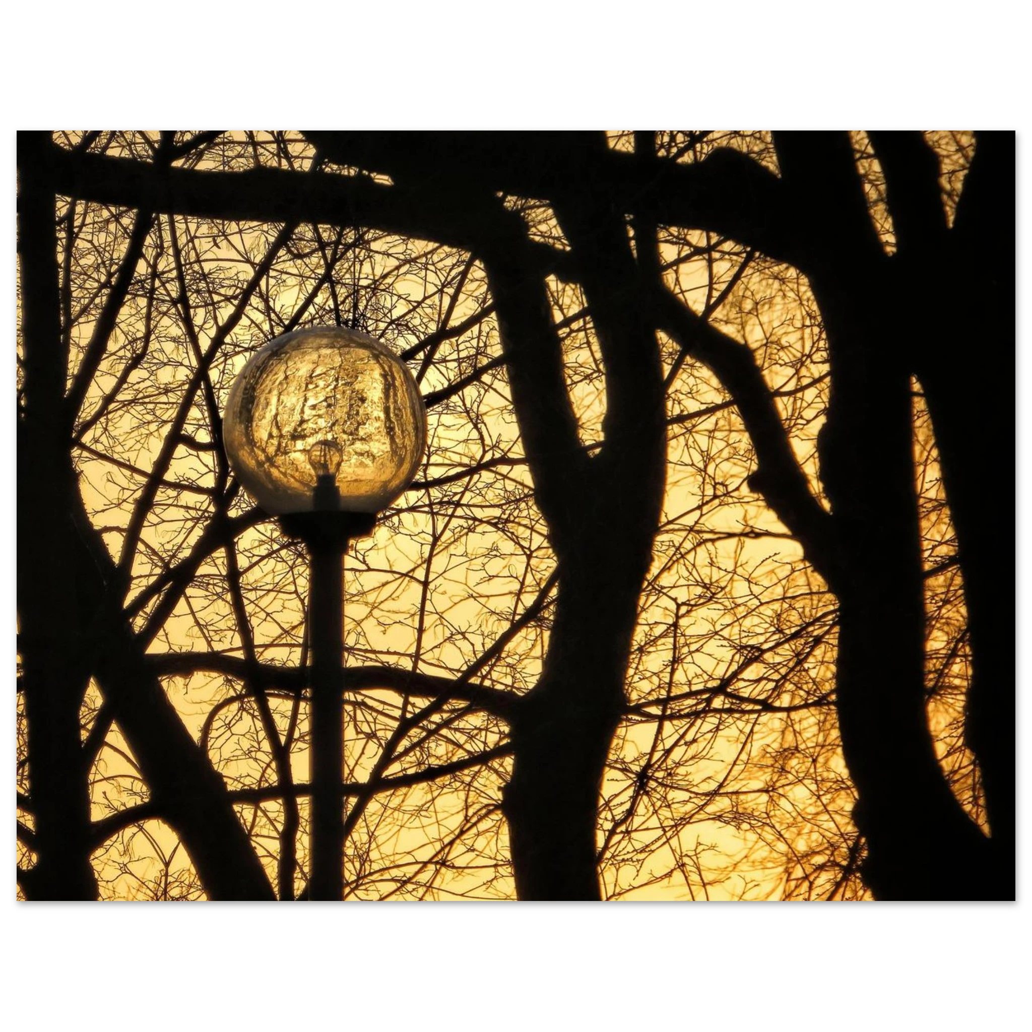 34756c06-ca35-4df1-b4be-dec6b7b6fc80