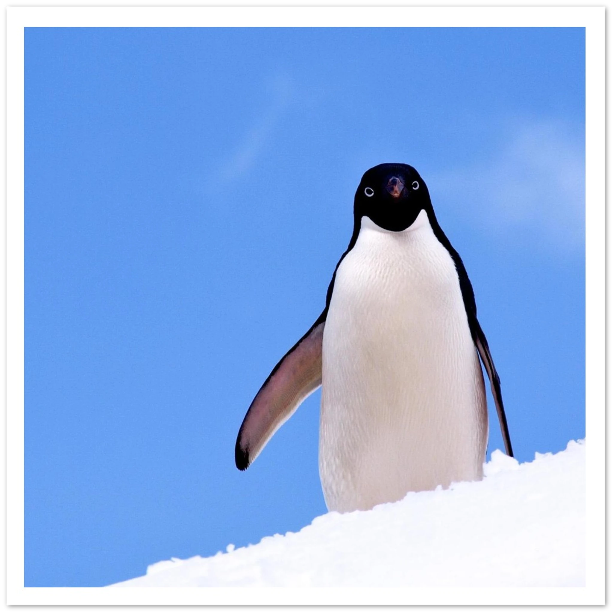 34d1eae9-0a63-4ba3-a4ea-fc28f31fd781