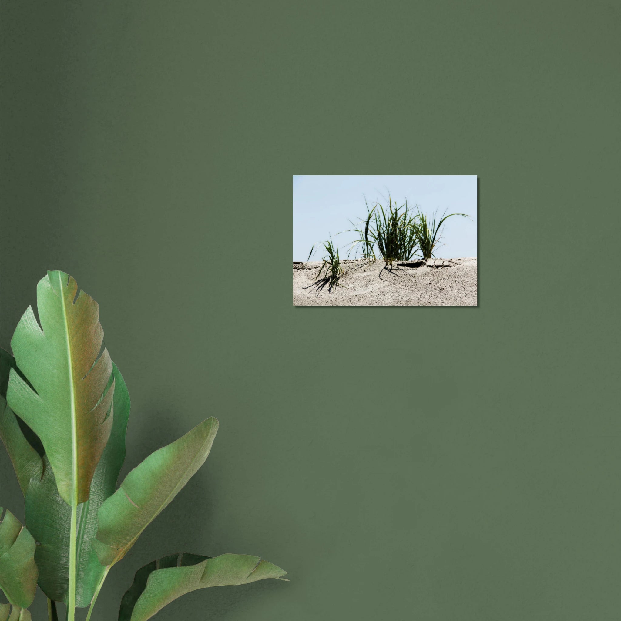 35003997-3c58-44f4-801f-636da7a3e46b