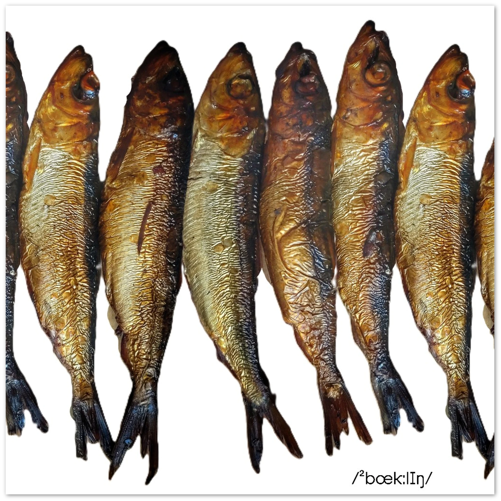 35a161f9-bbd3-4d0f-8d0d-ed6f0224d5e6