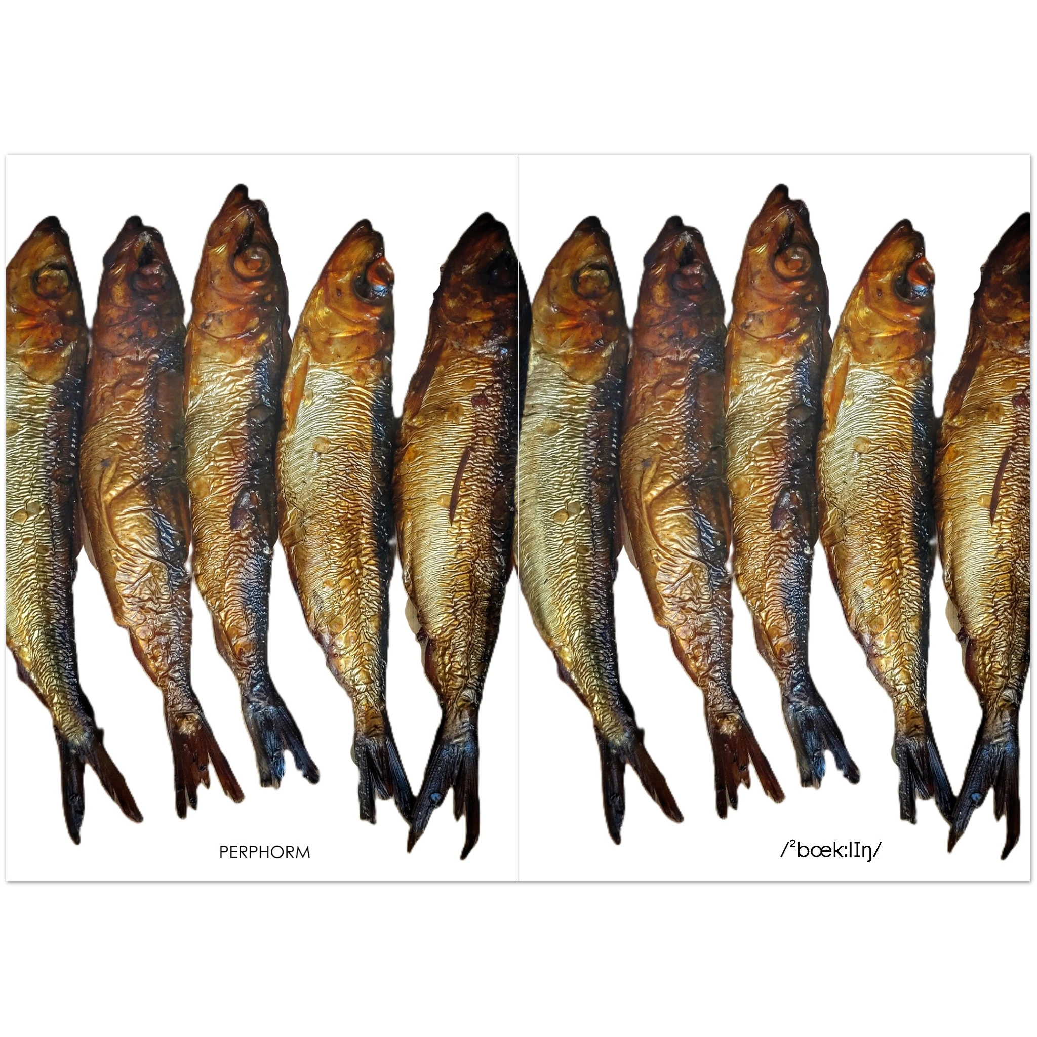 3706e7b9-2cb1-4b25-b0c1-f65079334be0