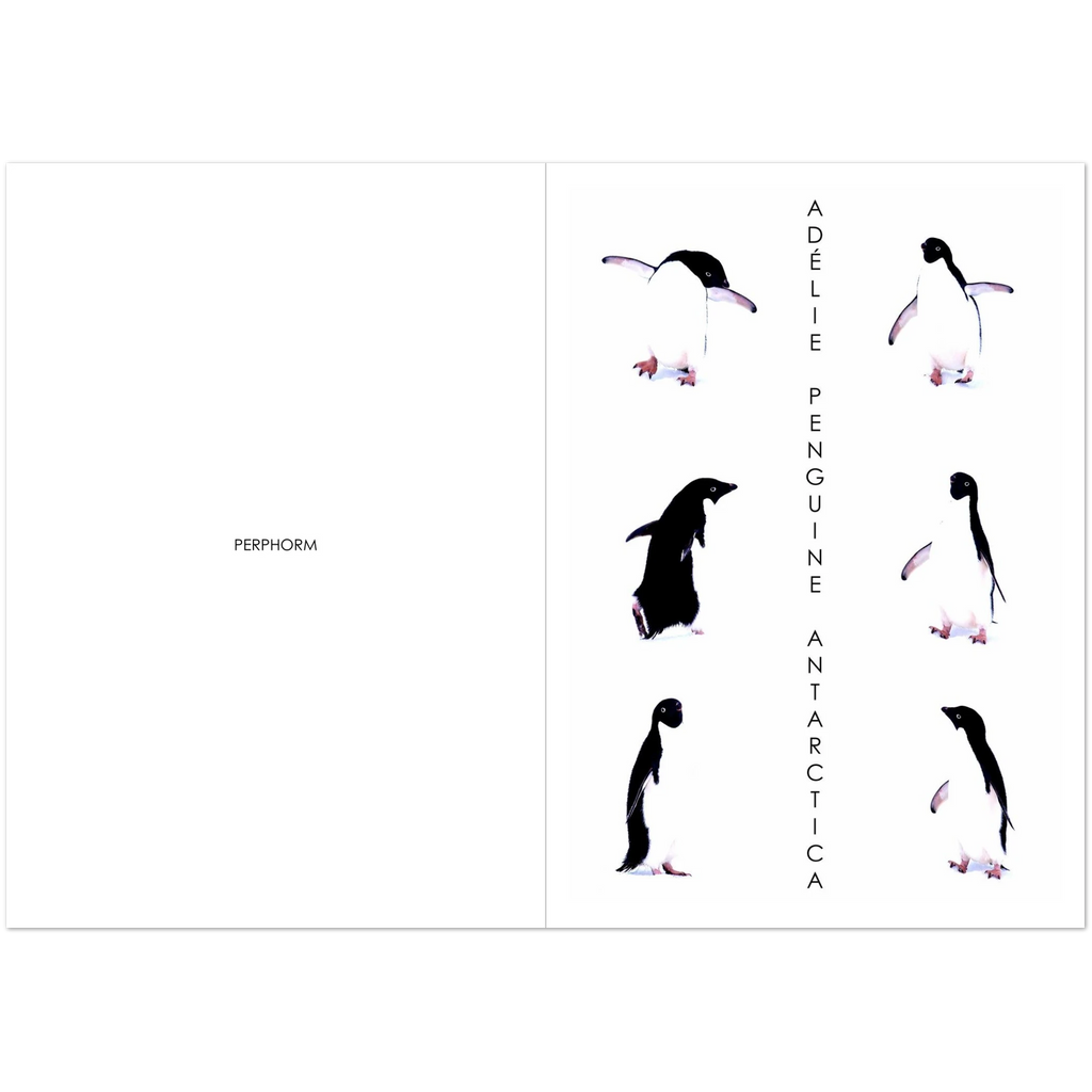 3d6a89a2-daed-4f47-88d2-33b9e050664b