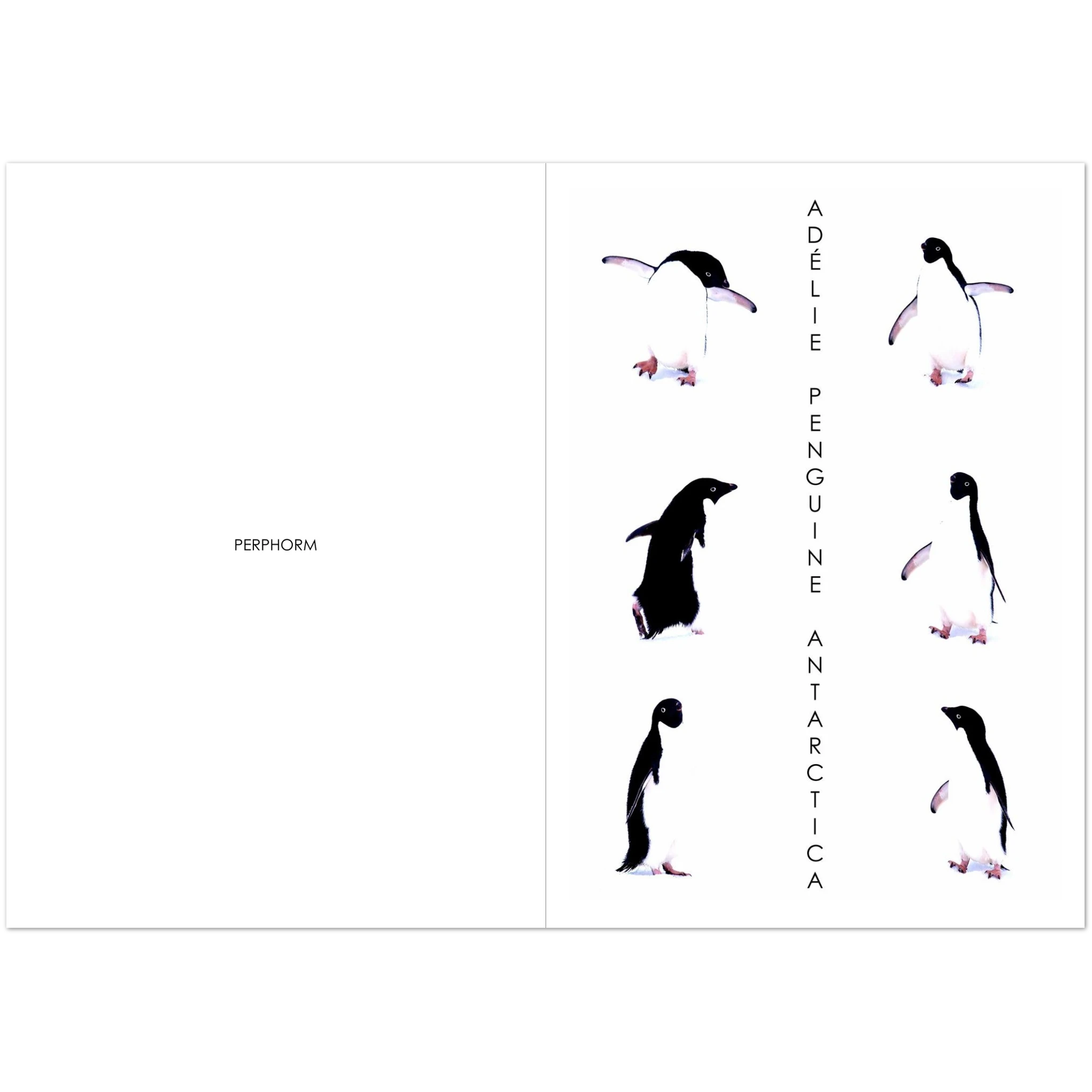 3d6a89a2-daed-4f47-88d2-33b9e050664b