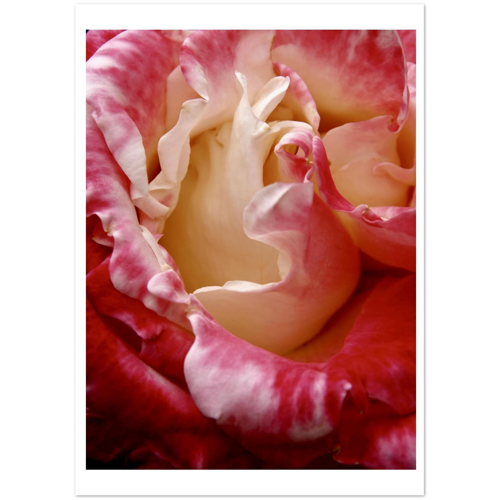 3ea65c18-4583-4cb1-ace4-ebe85bf8c6cb