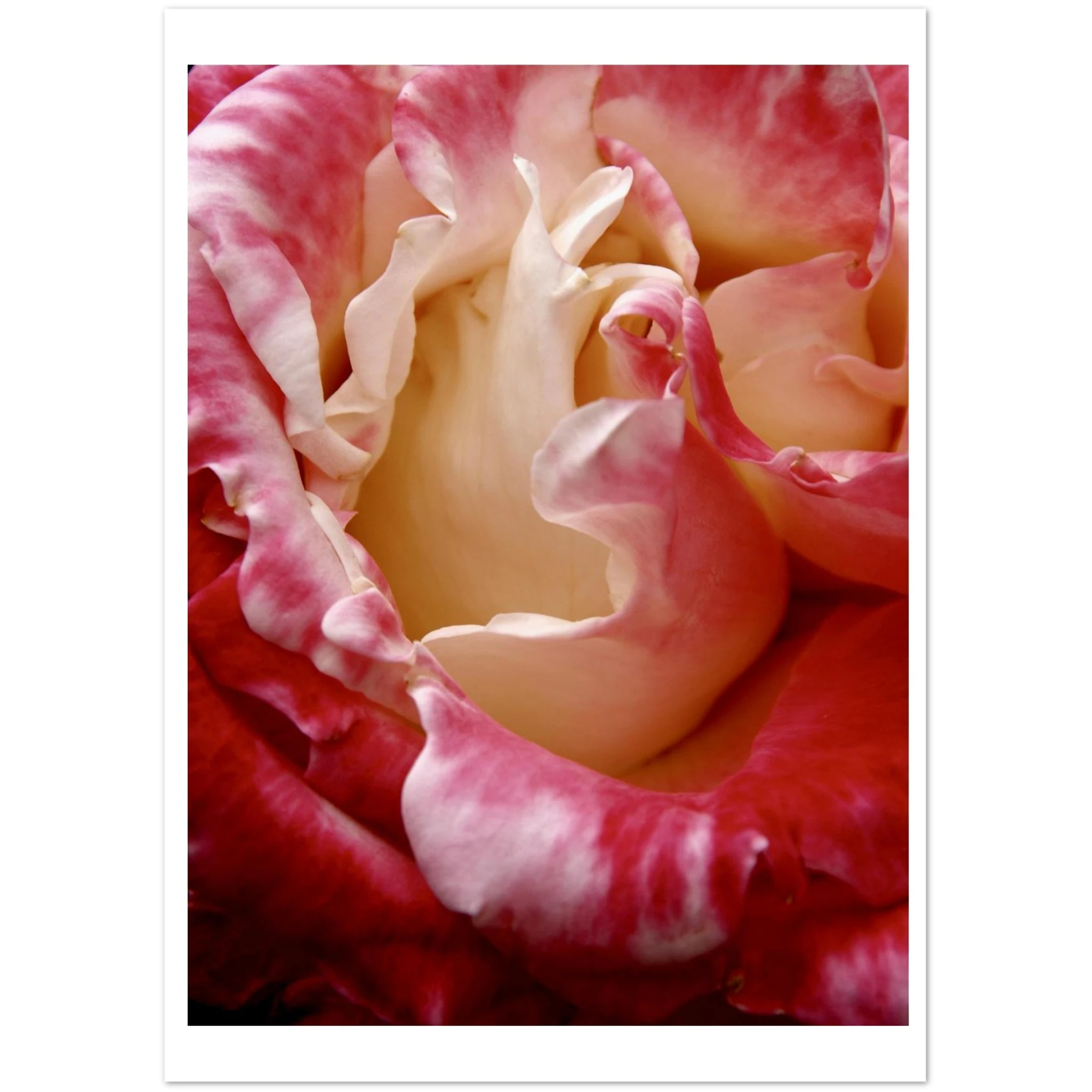 3ea65c18-4583-4cb1-ace4-ebe85bf8c6cb