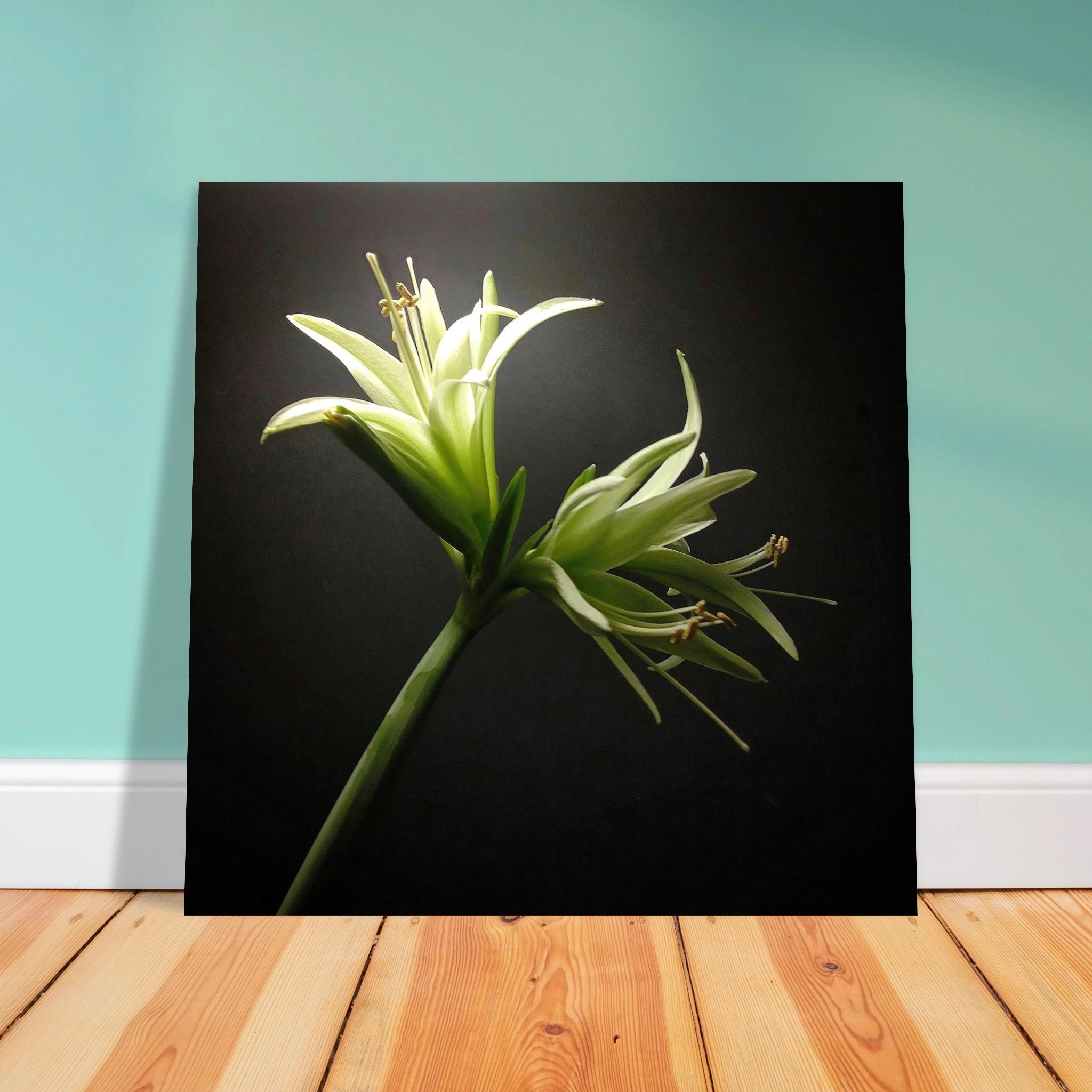 4061e4f8-8472-4f70-8eb4-fa79d56826bb