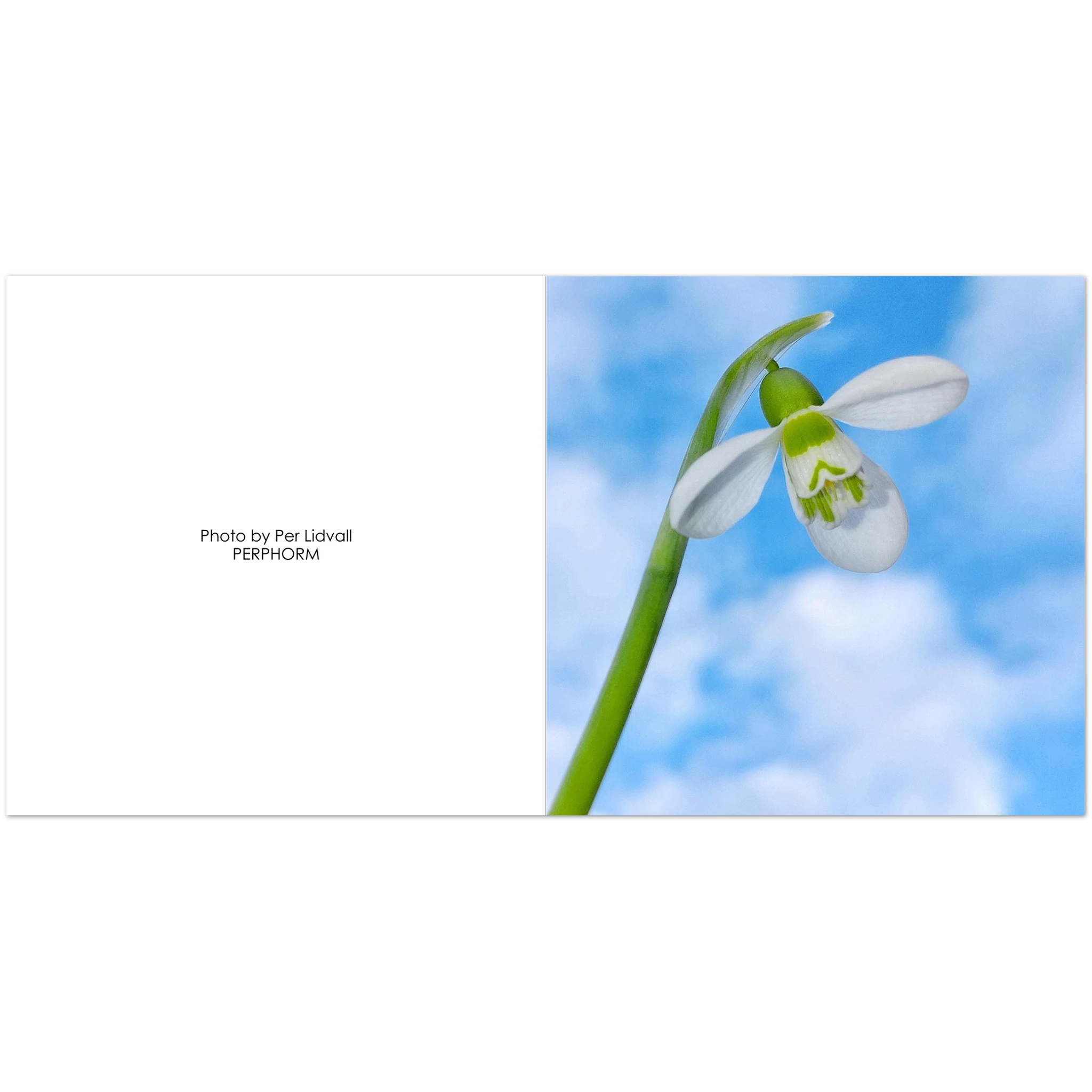 462e1c65-9782-4cf9-b9c9-daeaa8d8f058
