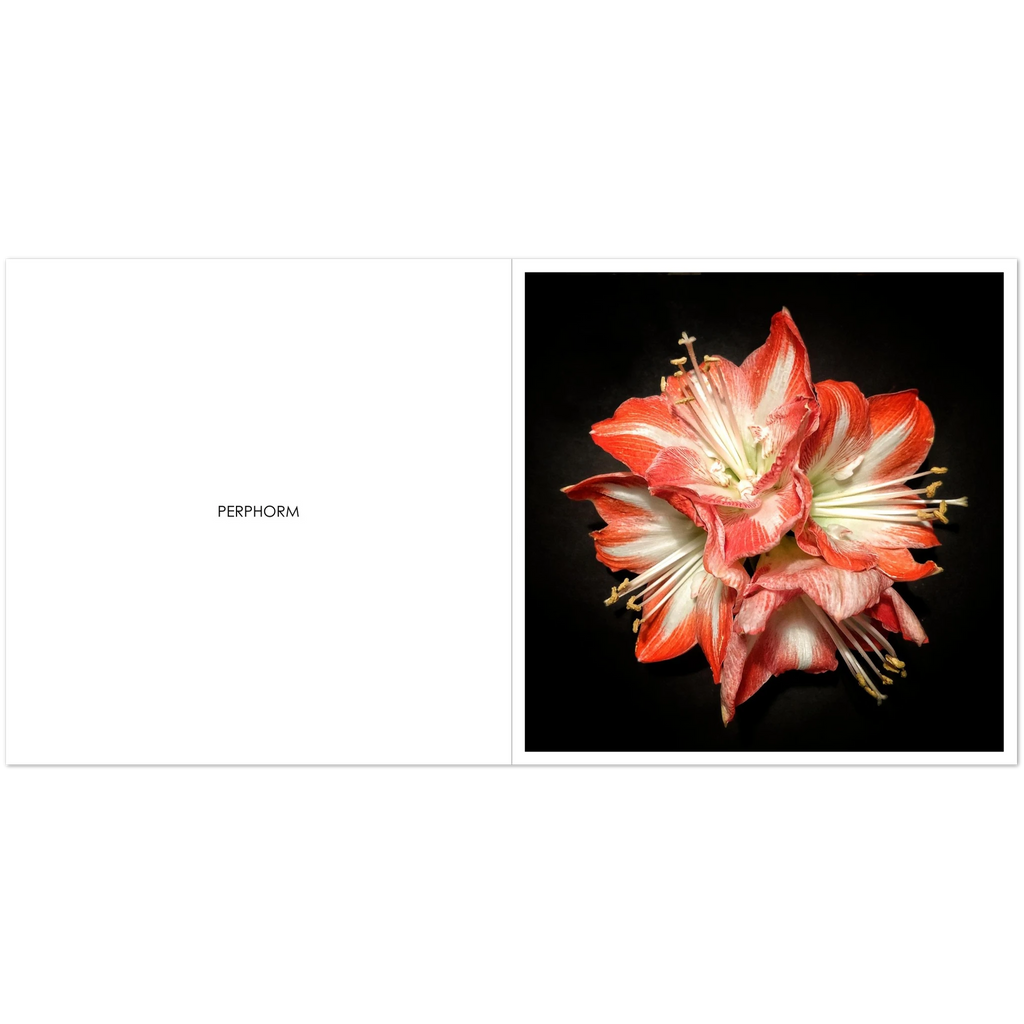 4682e772-33b9-4290-9c62-010c4d46b5d9