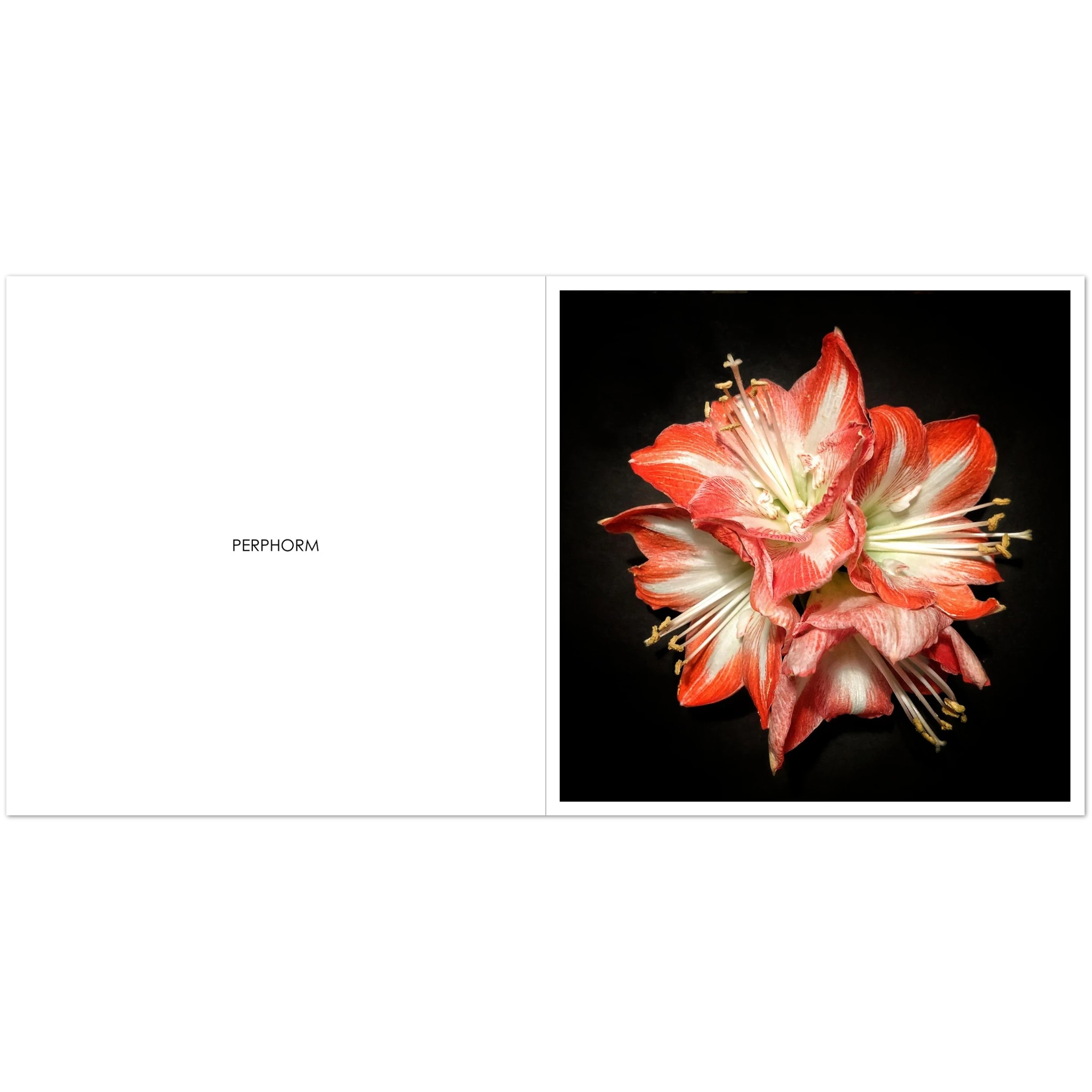 4682e772-33b9-4290-9c62-010c4d46b5d9