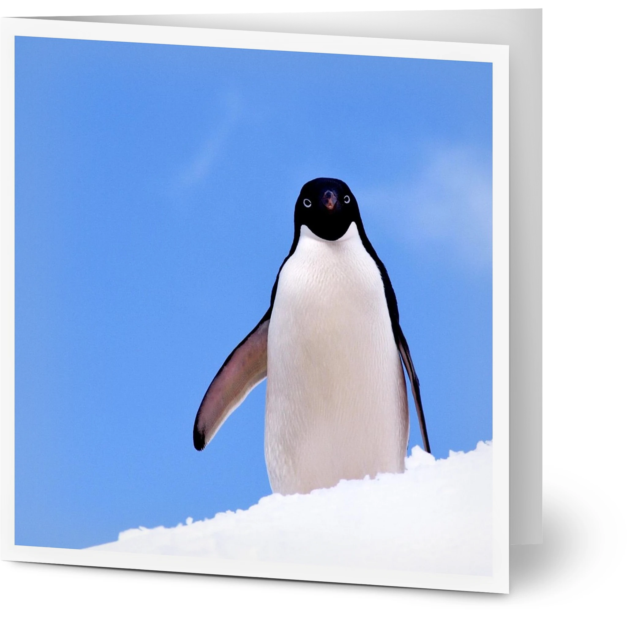 49d5a731-2c47-4dcd-8c01-58bf9323d4ec