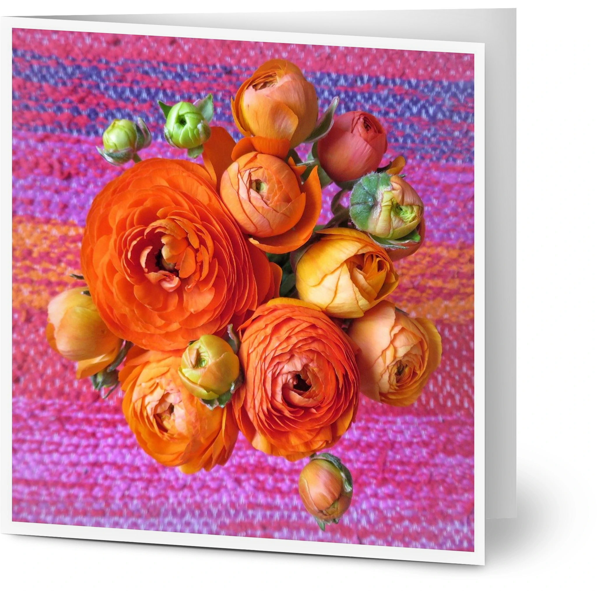 4bba8ea0-2a26-4a32-b281-016c6b38d872