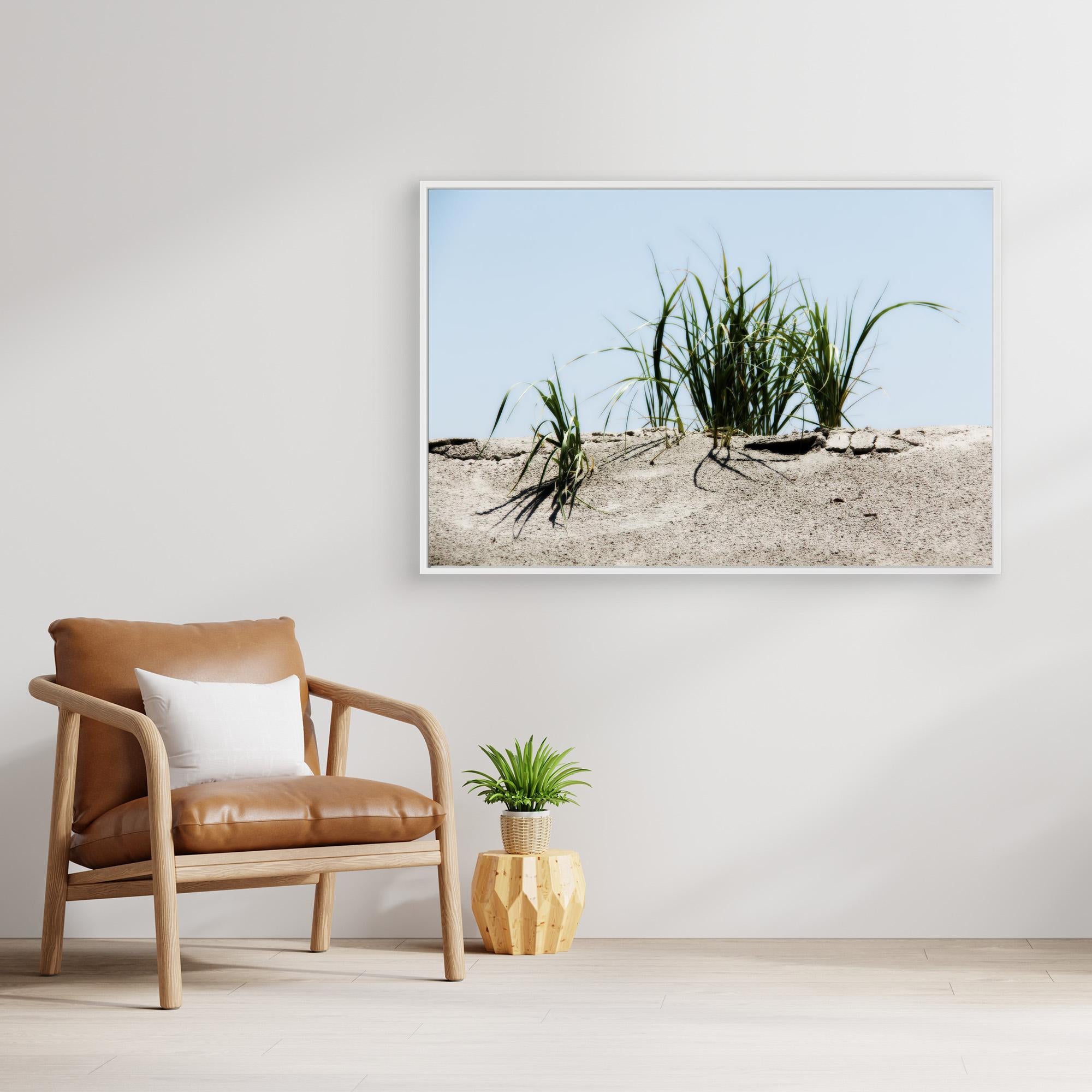 Jersey Shores USA 02