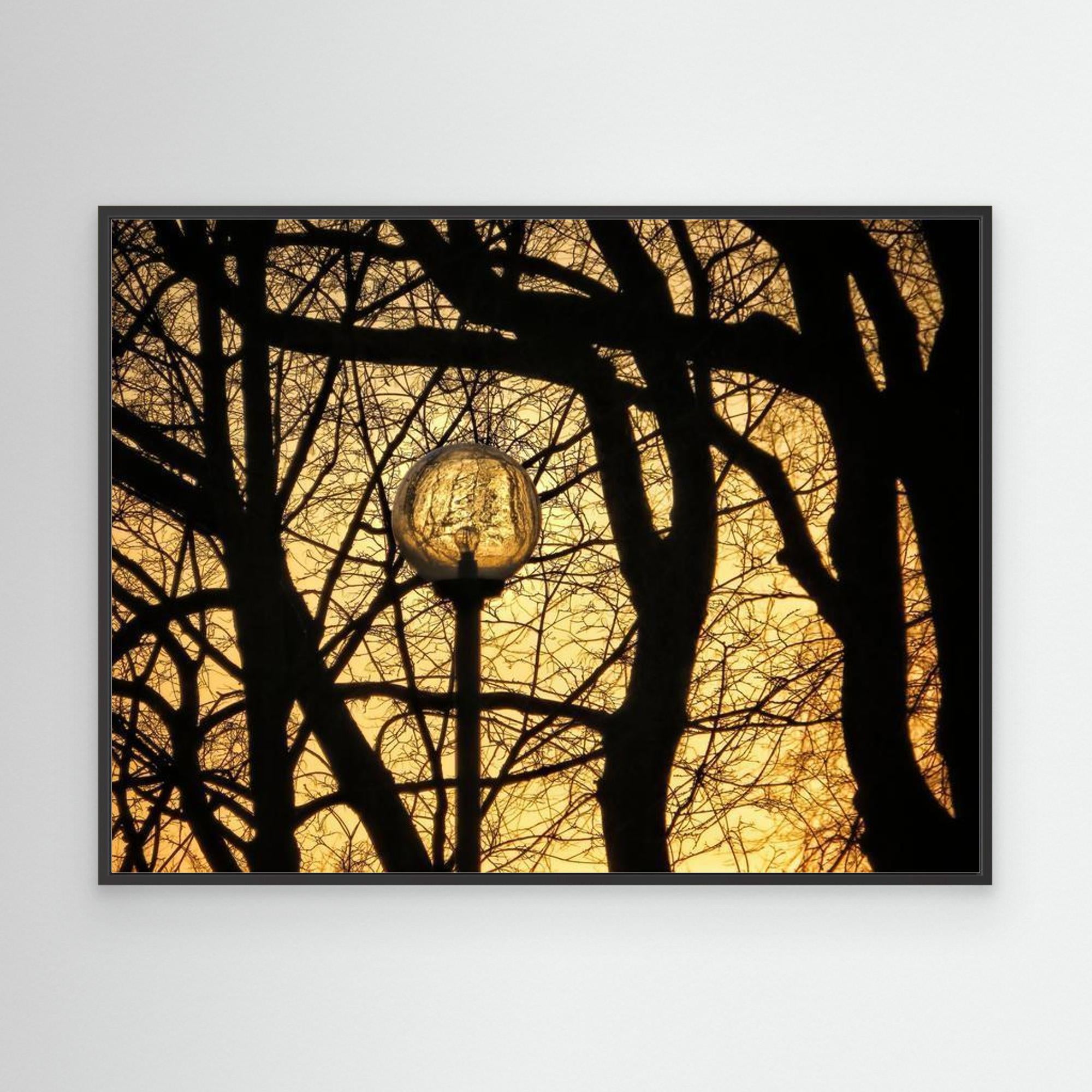 Lyktan / The Lantern