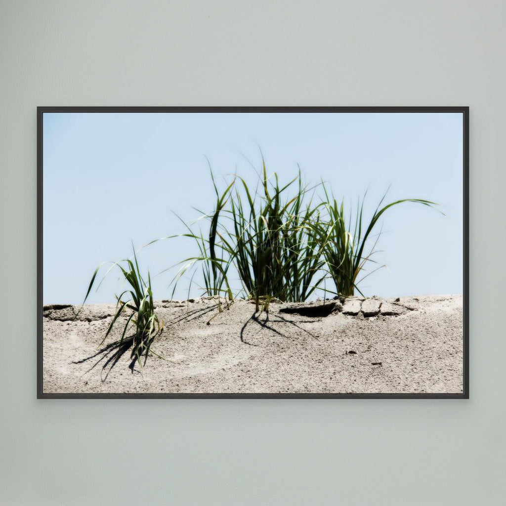 Jersey Shores USA 02