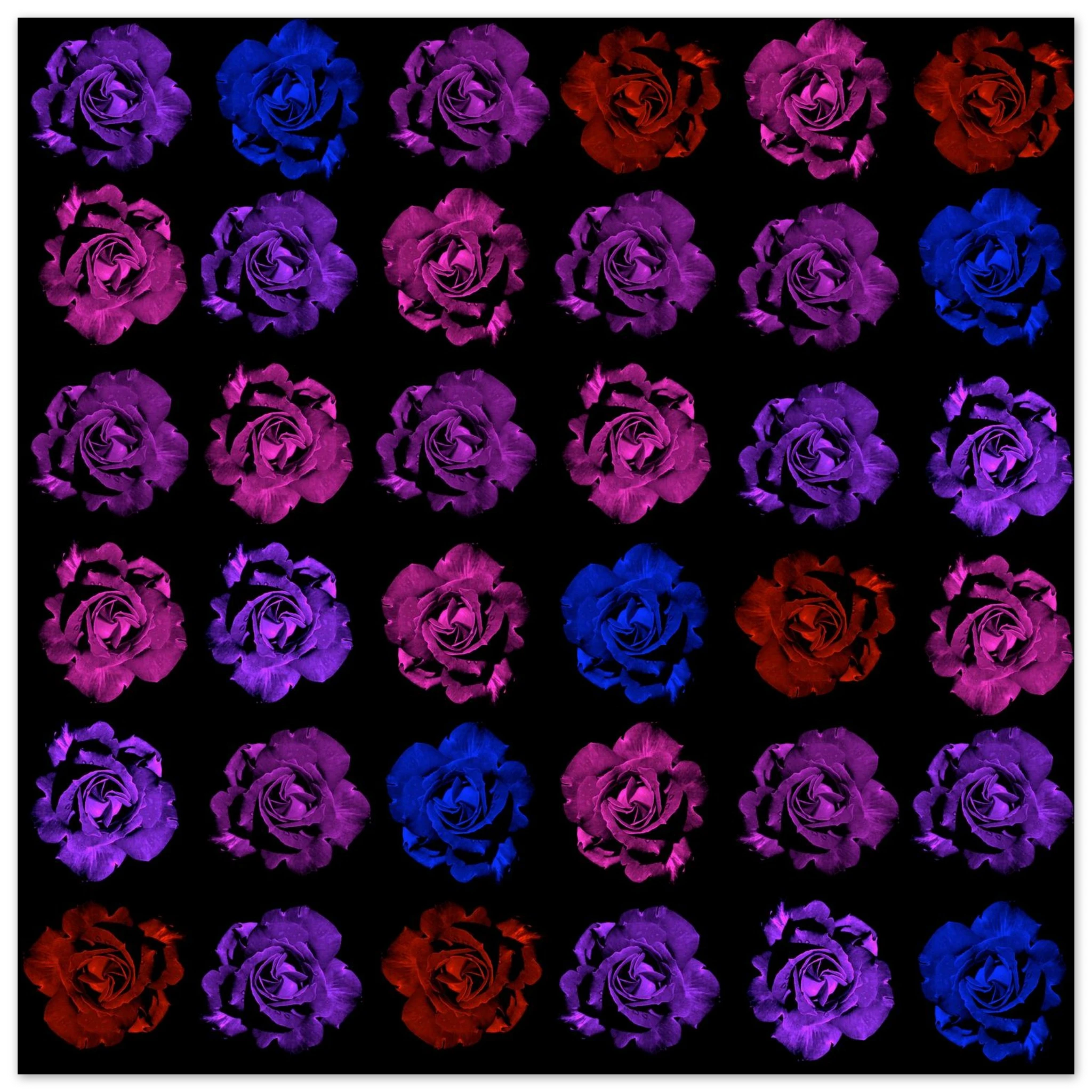 505cd8b5-f53e-41b4-bbf0-c1d99fb1d1ce