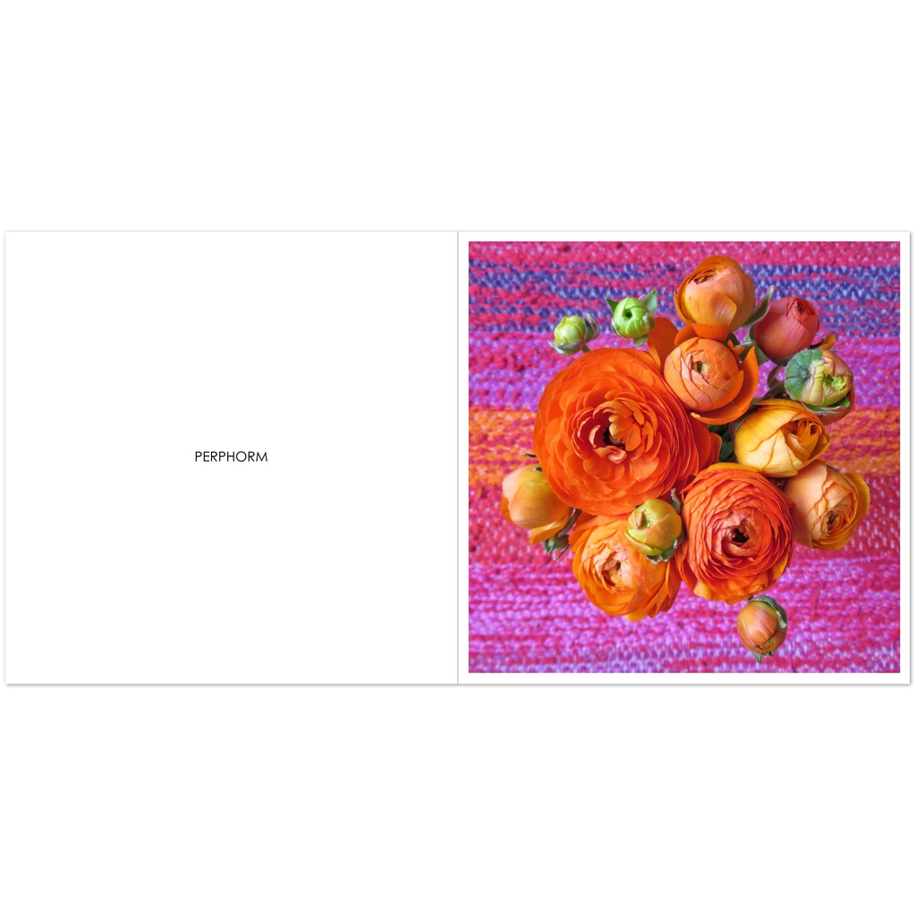 506161b3-b967-48f2-953e-7922a9f3cca7