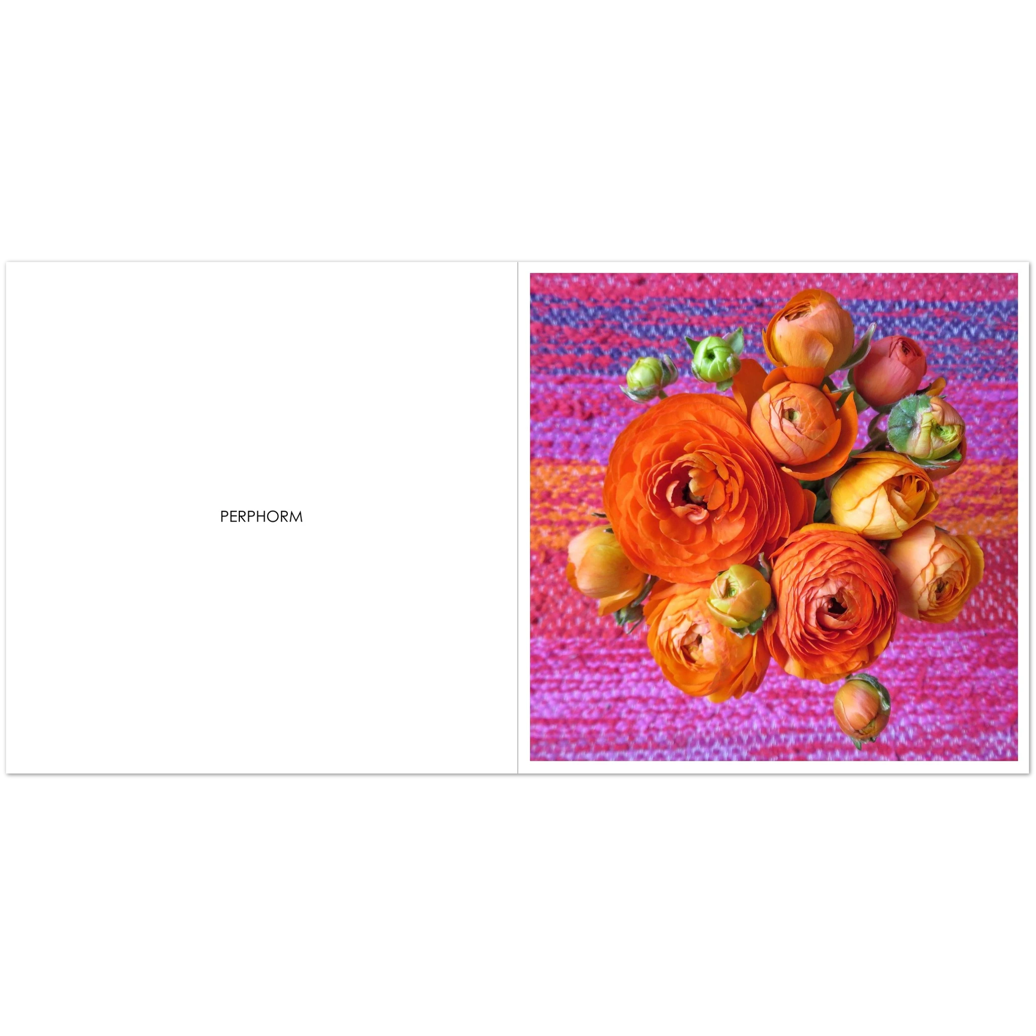 506161b3-b967-48f2-953e-7922a9f3cca7