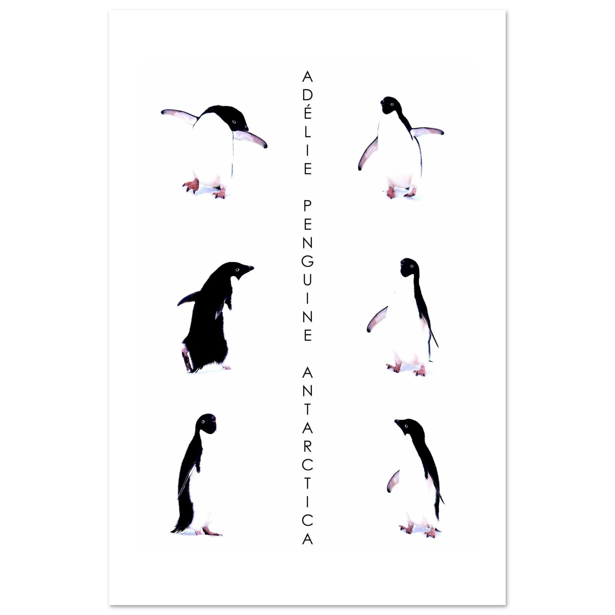 57f6438d-ef15-4de8-9676-6b569ed766bc