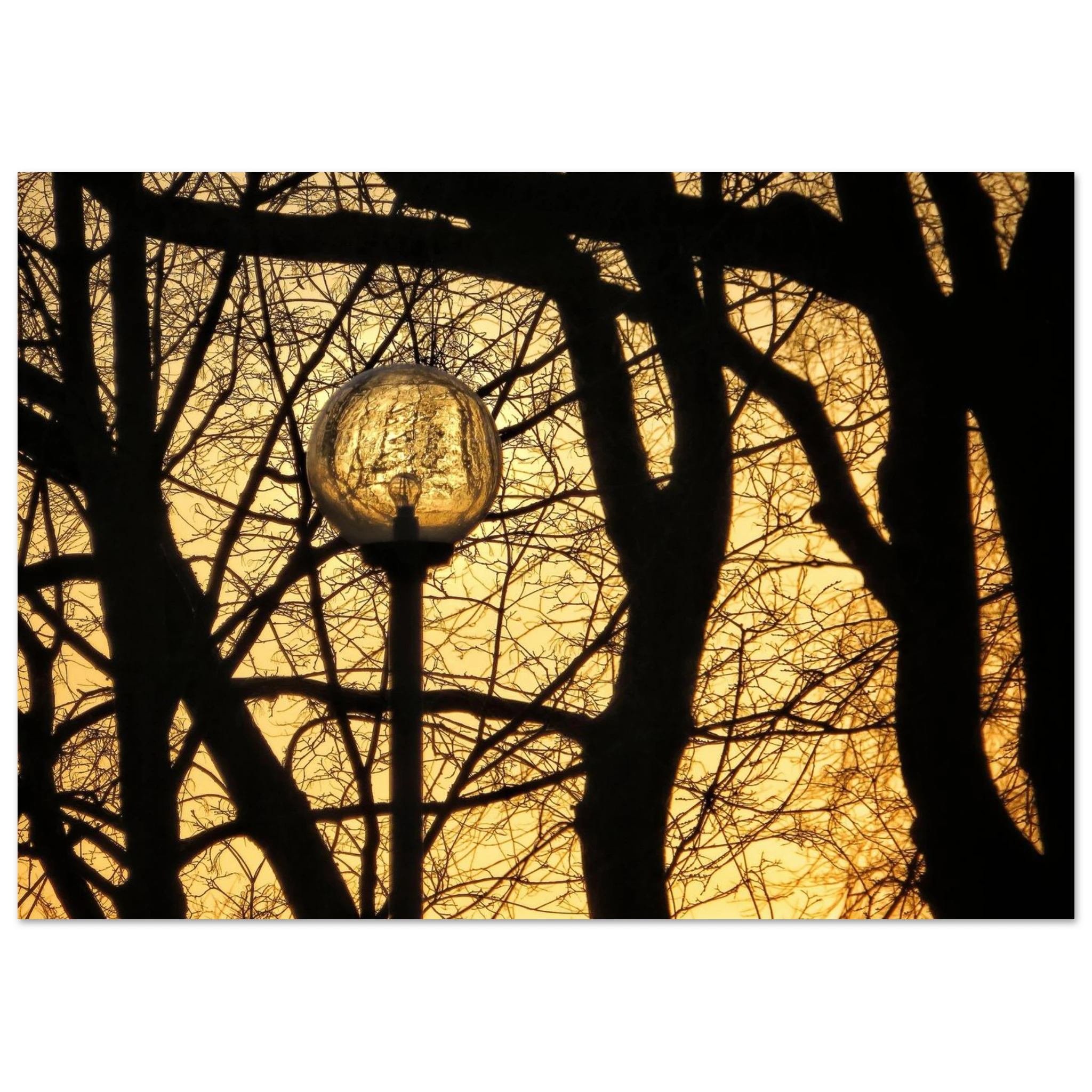 5856cb34-4dfa-42e6-956b-274a4c399c0e