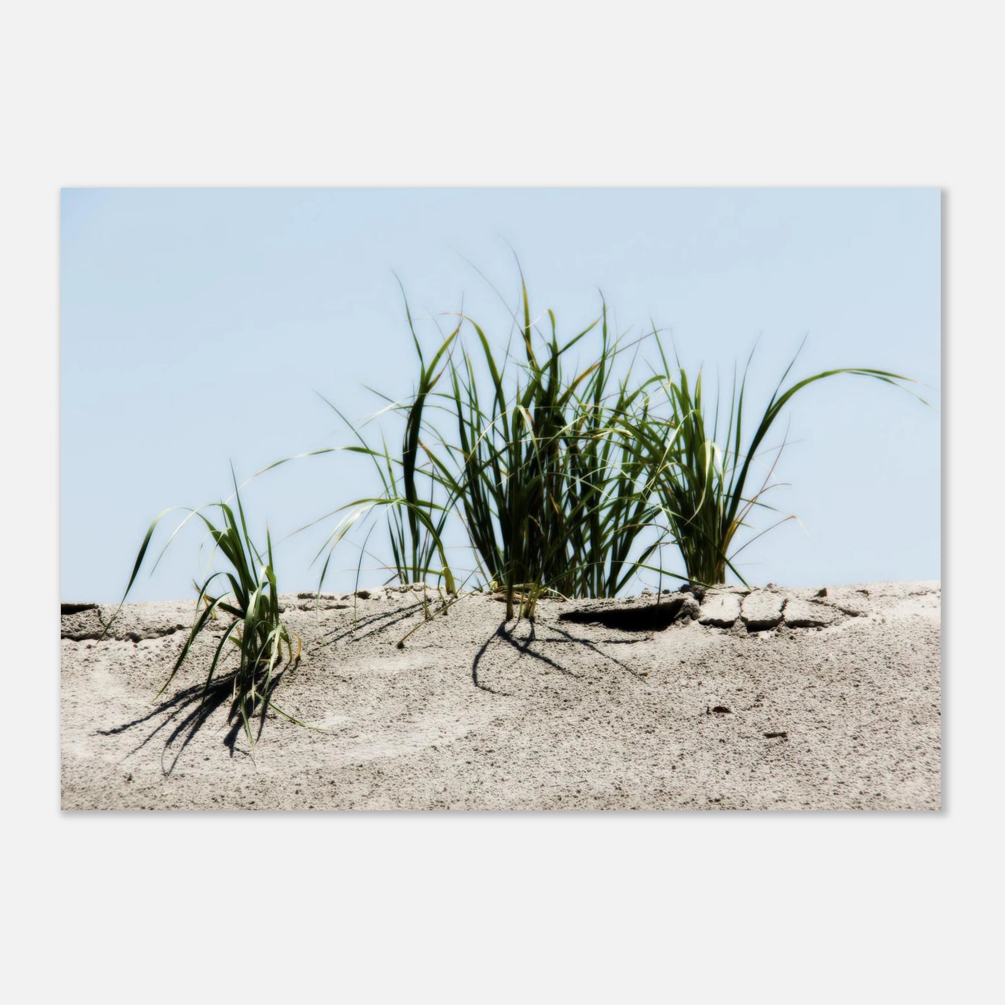 588601eb-9dc2-4732-9842-4968ee47a23f