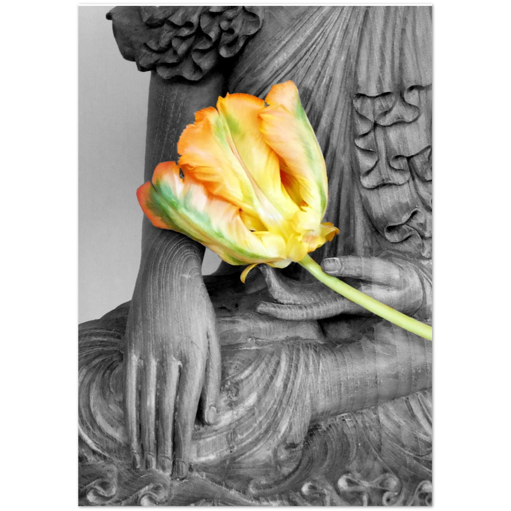 5af646fd-308c-415a-956c-d8f88c65adb3