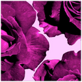 5c2c4e36-4731-4762-88db-7a979a474bff